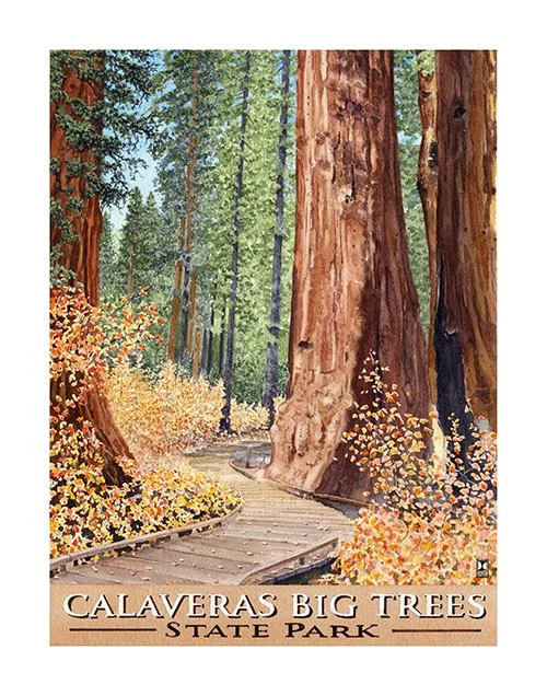 Big Trees in Fall.jpg