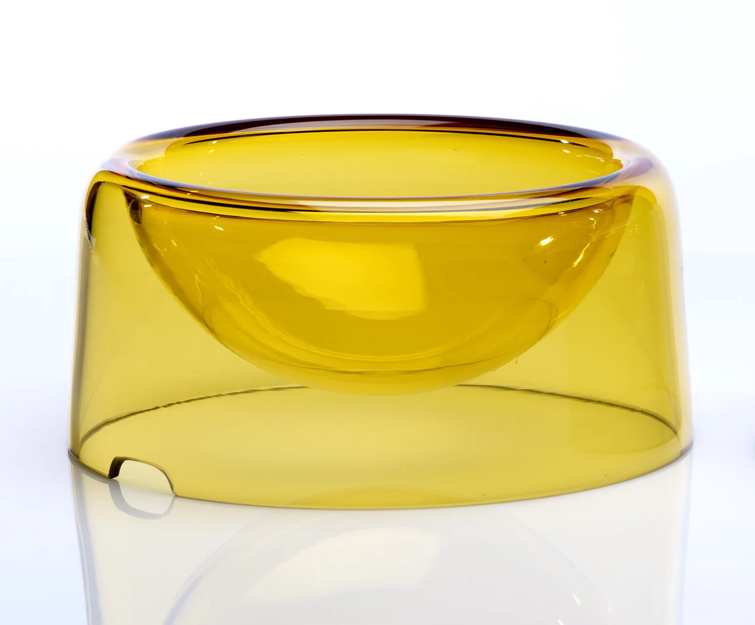 gold dog bowl.jpg