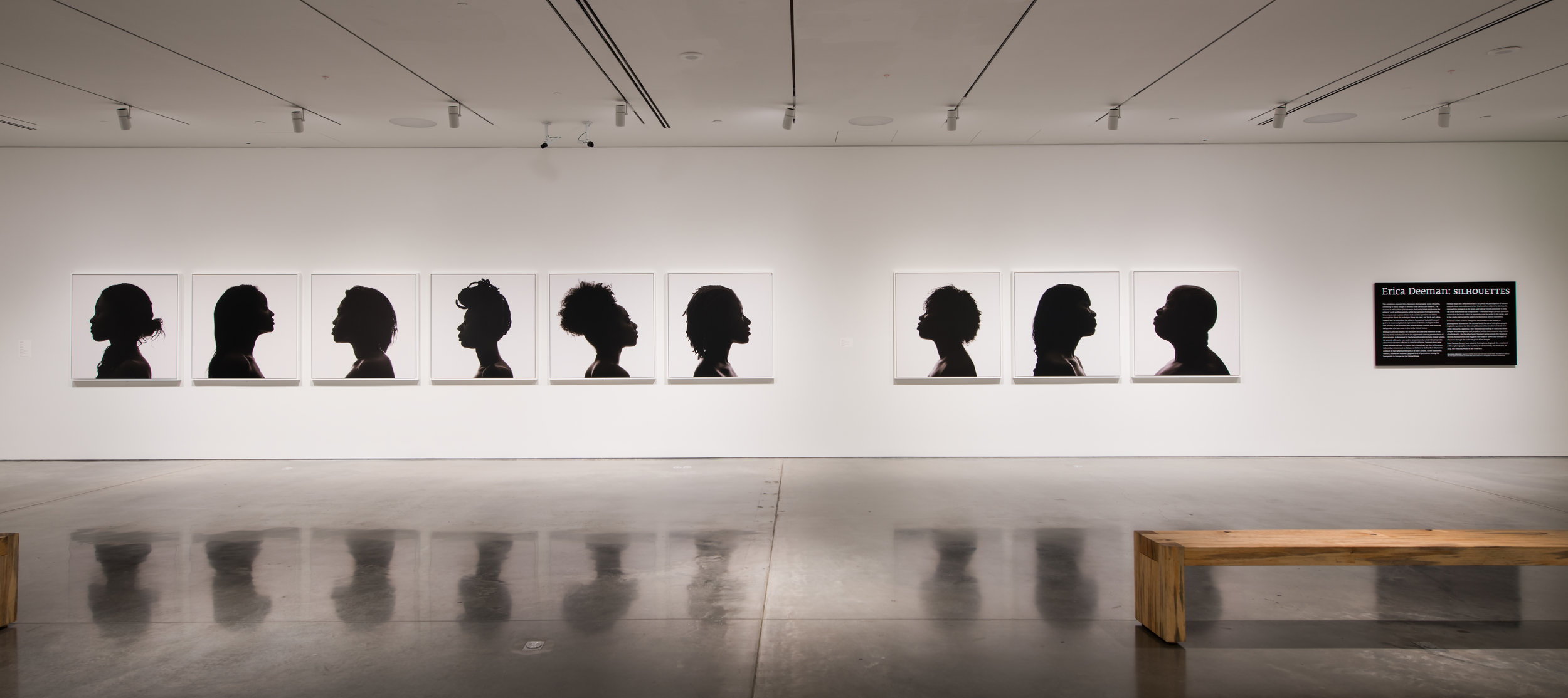   Silhouettes,&nbsp; BAMPFA. March 8–June 11, 2017 Photo credit:&nbsp;Sibila Savage 