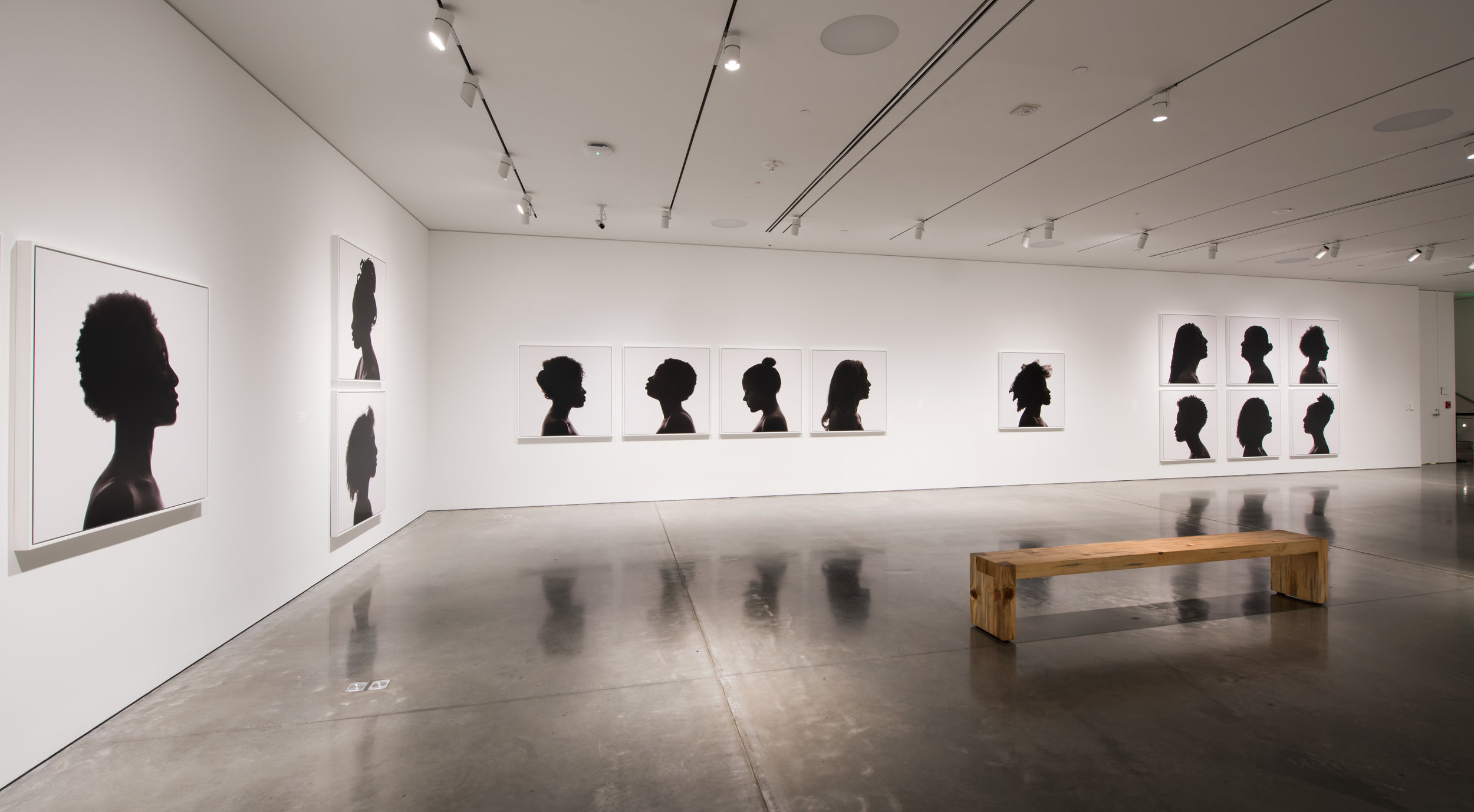   Silhouettes,&nbsp; BAMPFA. March 8–June 11, 2017 Photo credit:&nbsp;Sibila Savage 