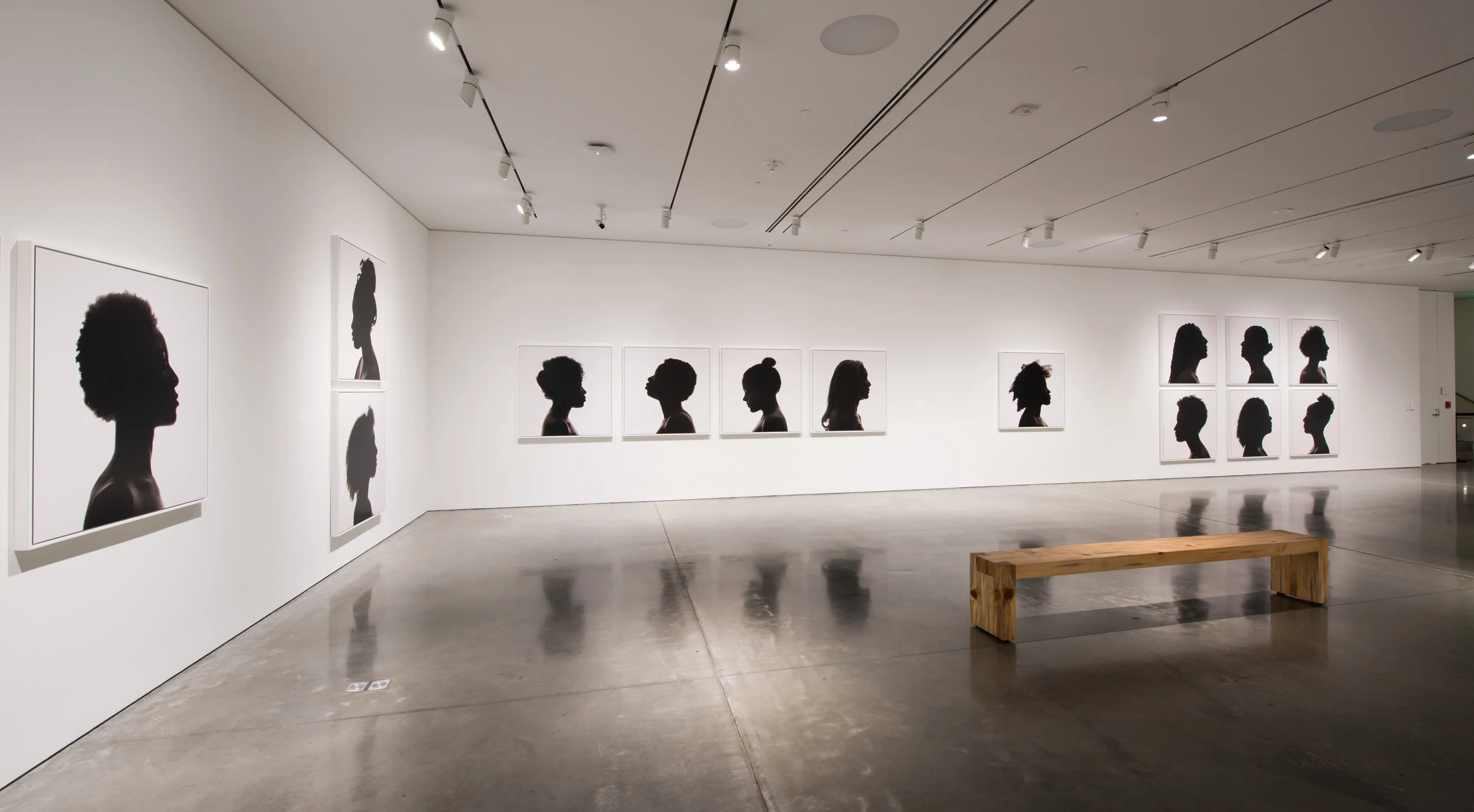 Silhouettes, BAMPFA. March 8–June 11, 2017 Photo credit: Sibila Savage