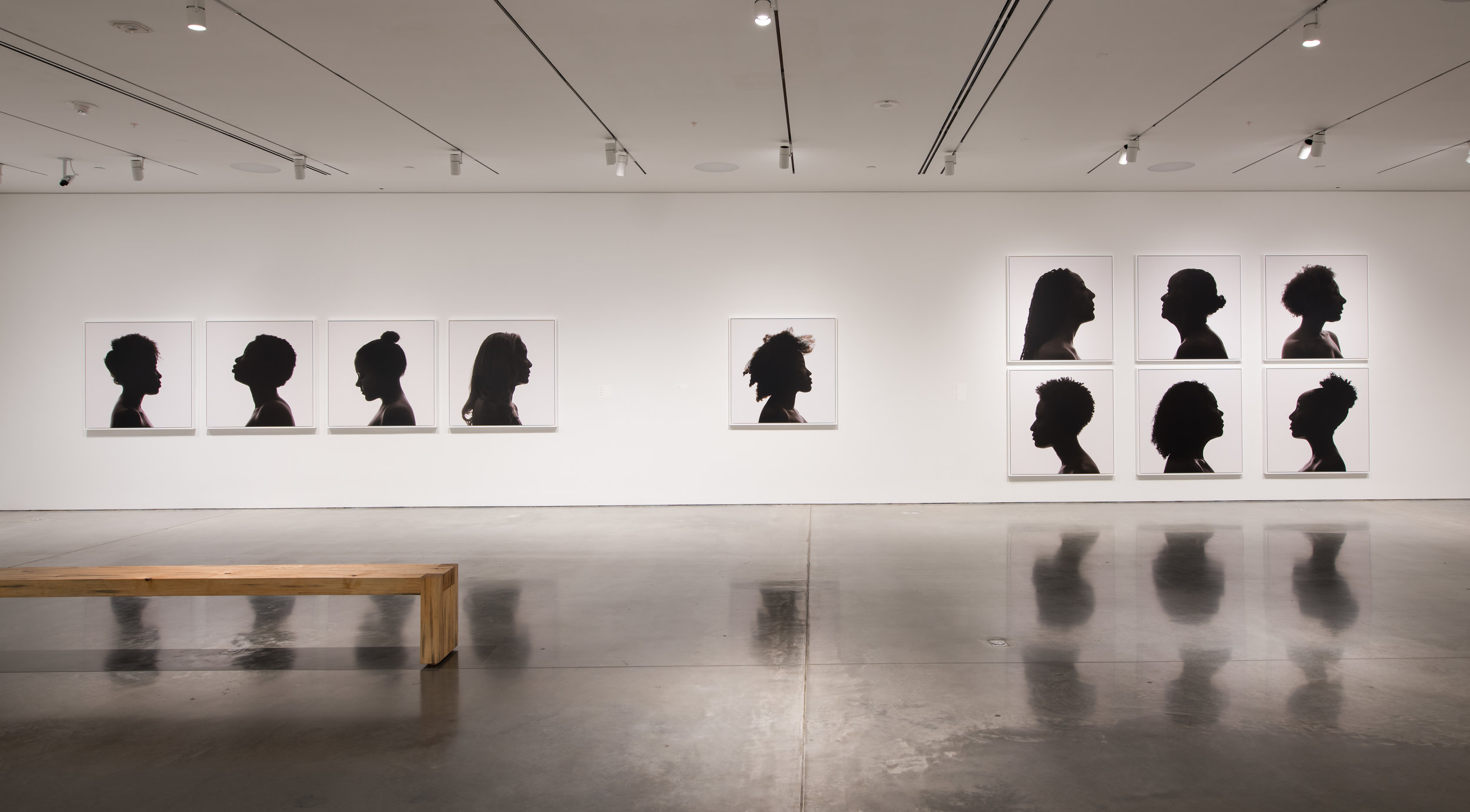   Silhouettes,&nbsp; BAMPFA. March 8–June 11, 2017 Photo credit:&nbsp;Sibila Savage 