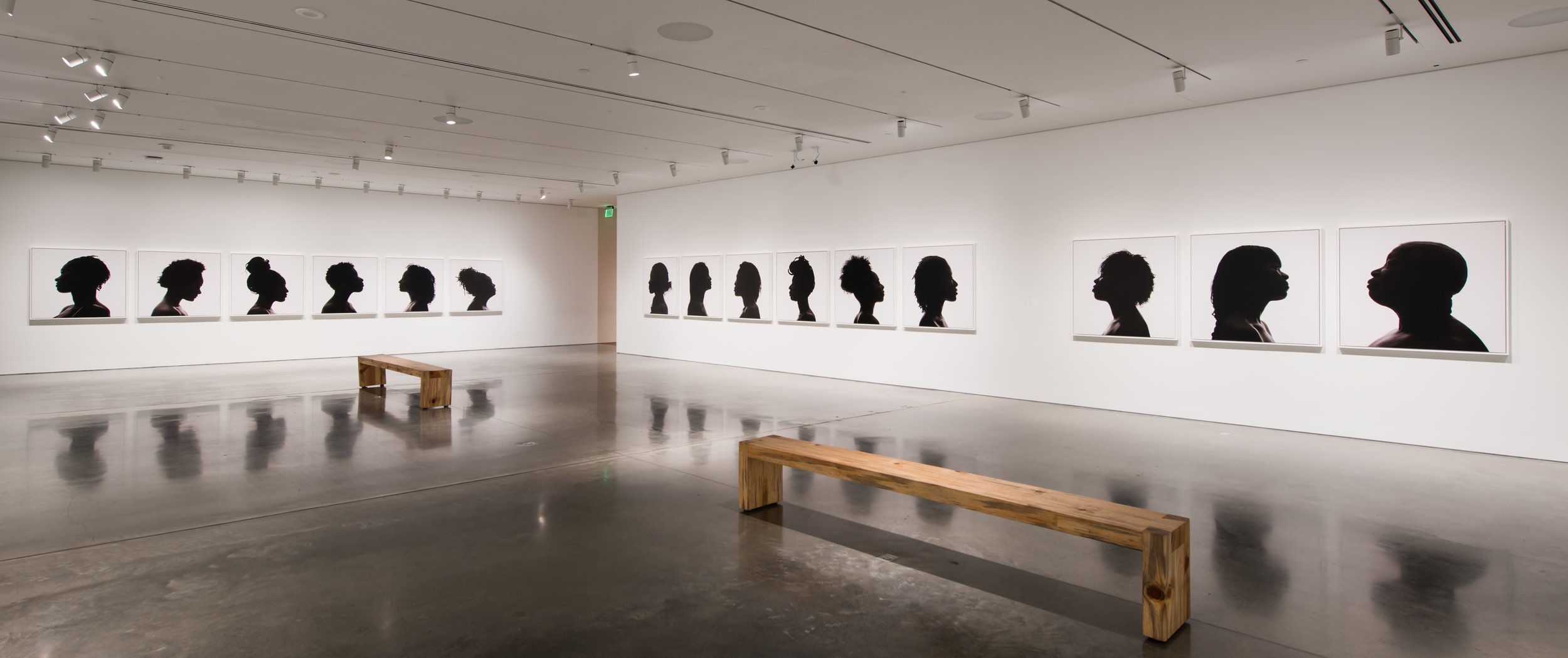   Silhouettes,&nbsp; BAMPFA. March 8–June 11, 2017 Photo credit:&nbsp;Sibila Savage 