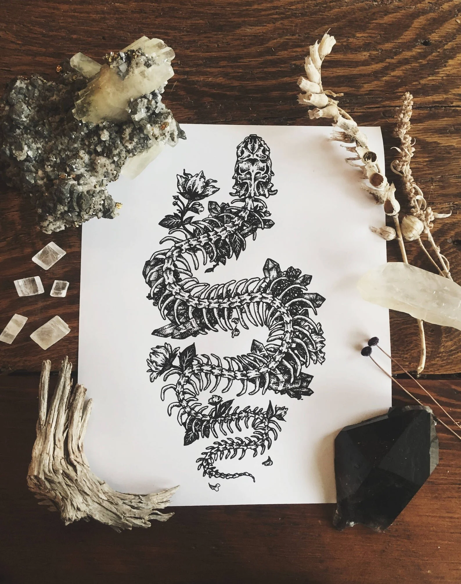 Snake &amp; Crystals Print