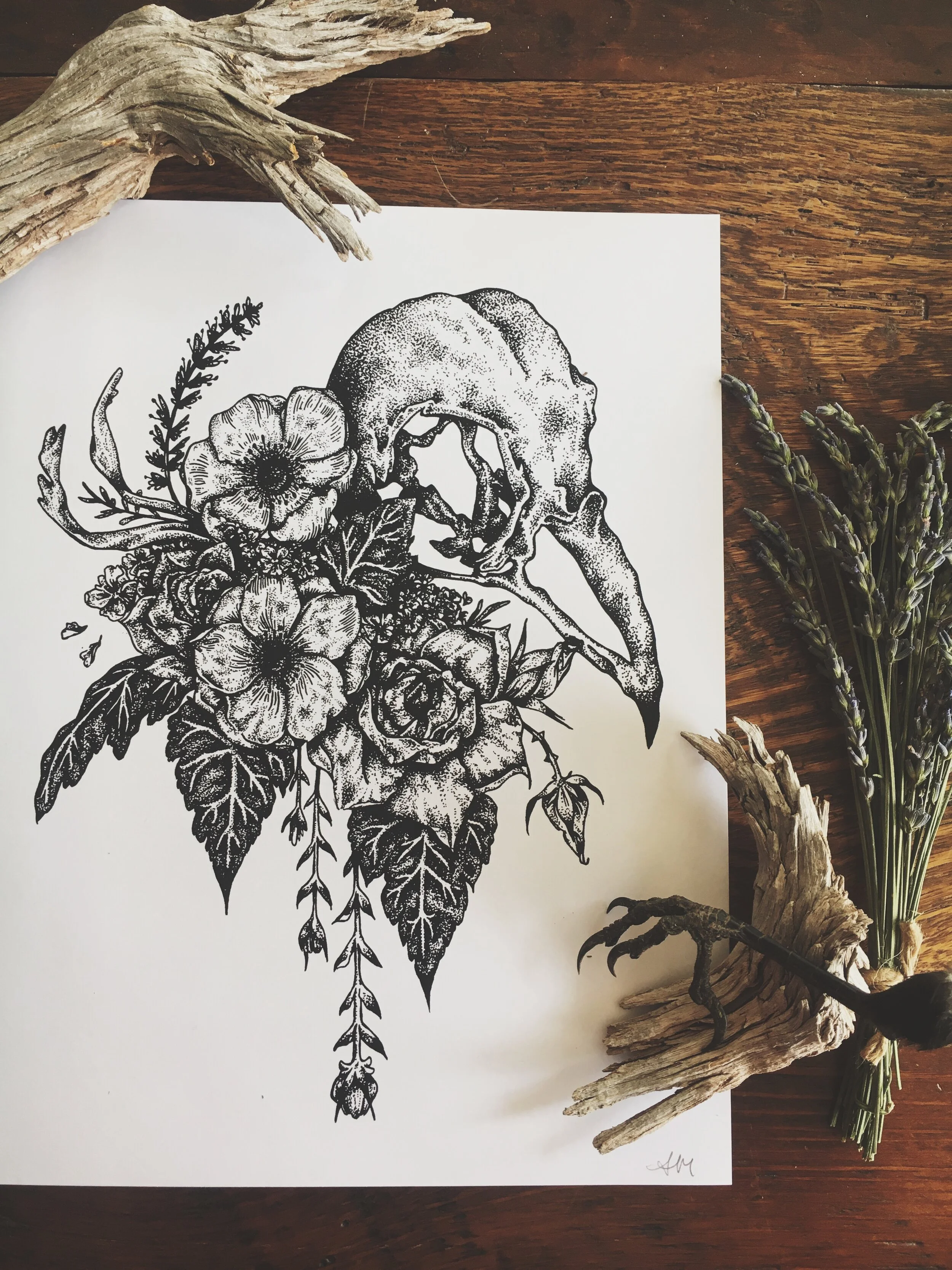 Sparrow &amp; Anemone—Art Print