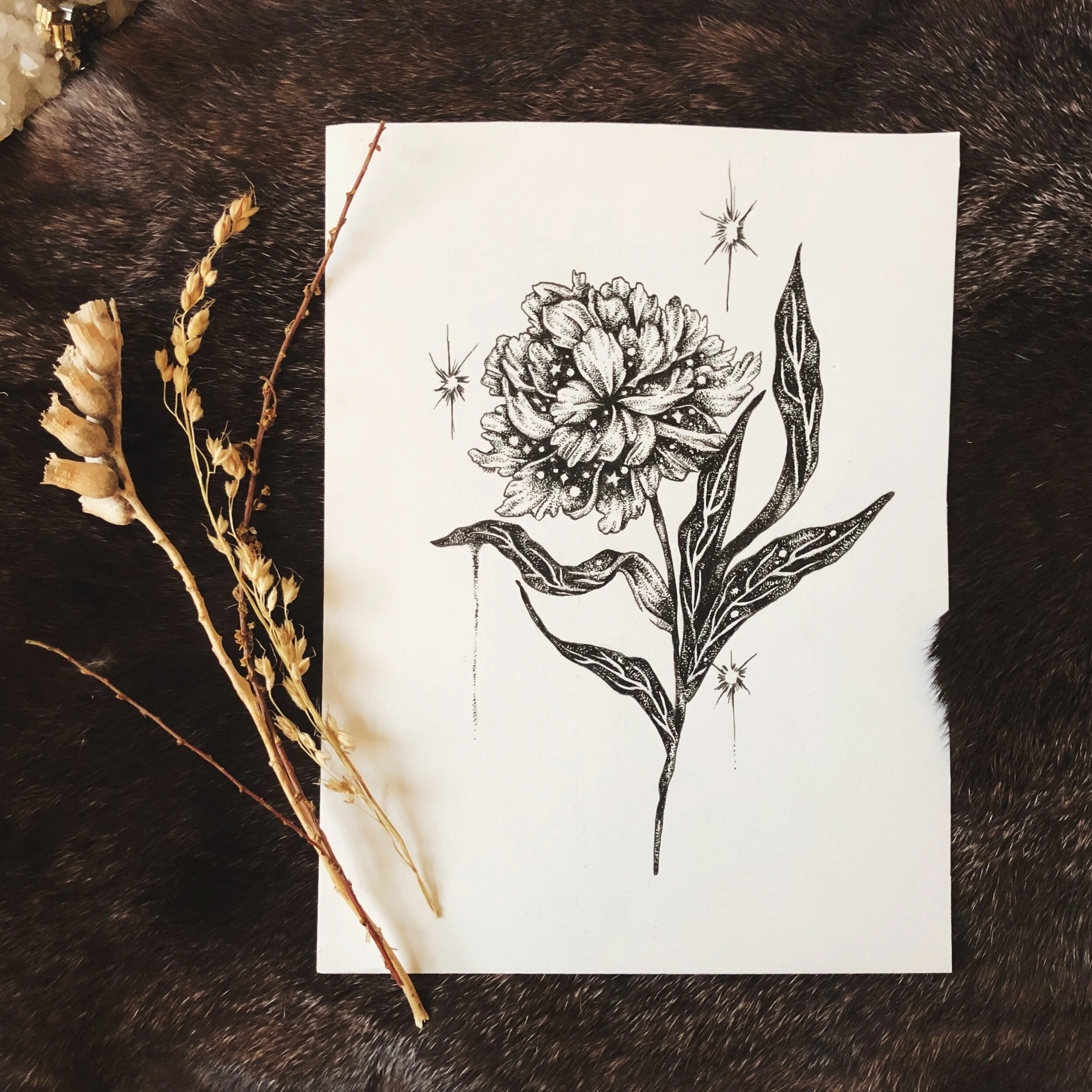 Peony Full of Stars Pen &amp; Ink Drawing