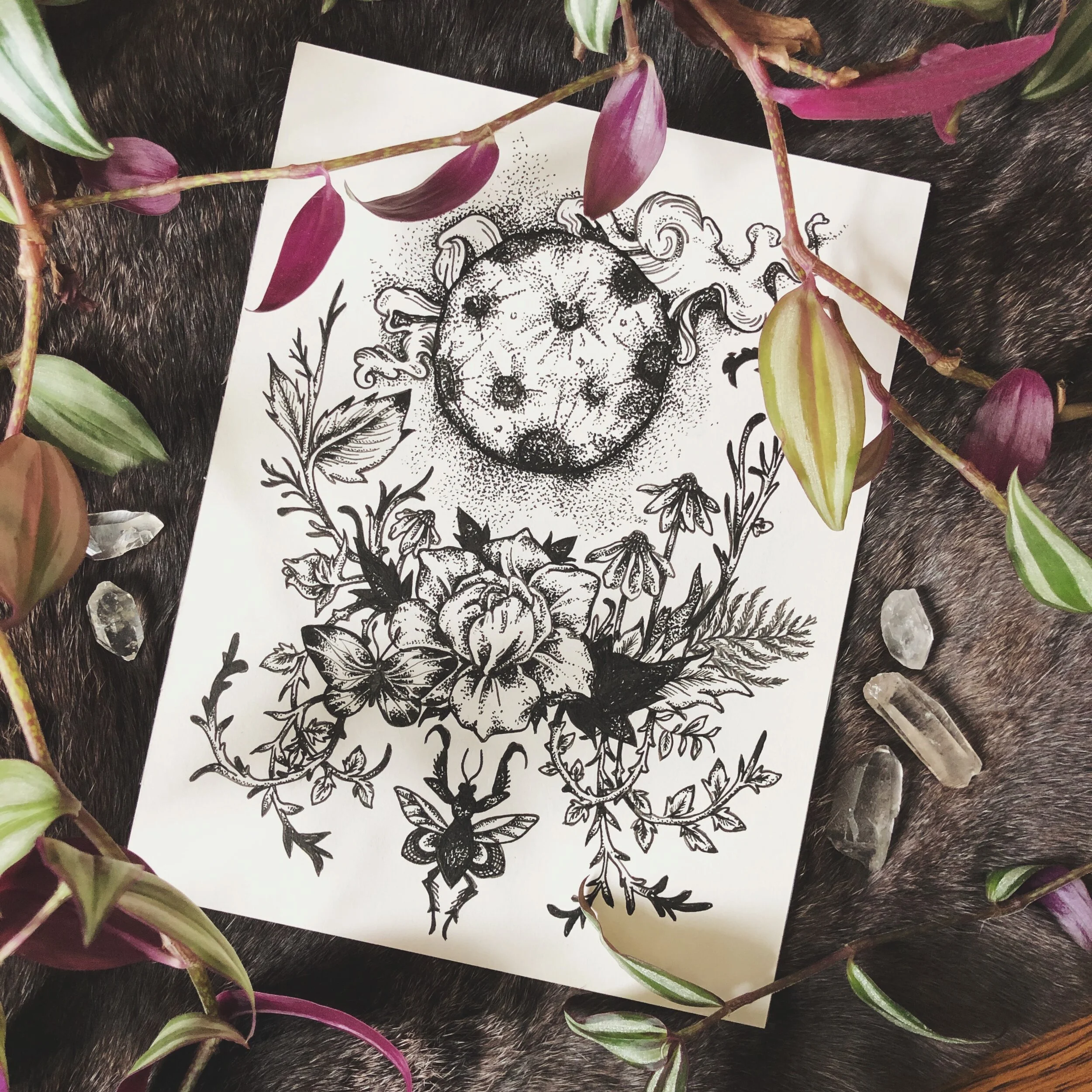 Moon &amp; Mantis Ink Drawing