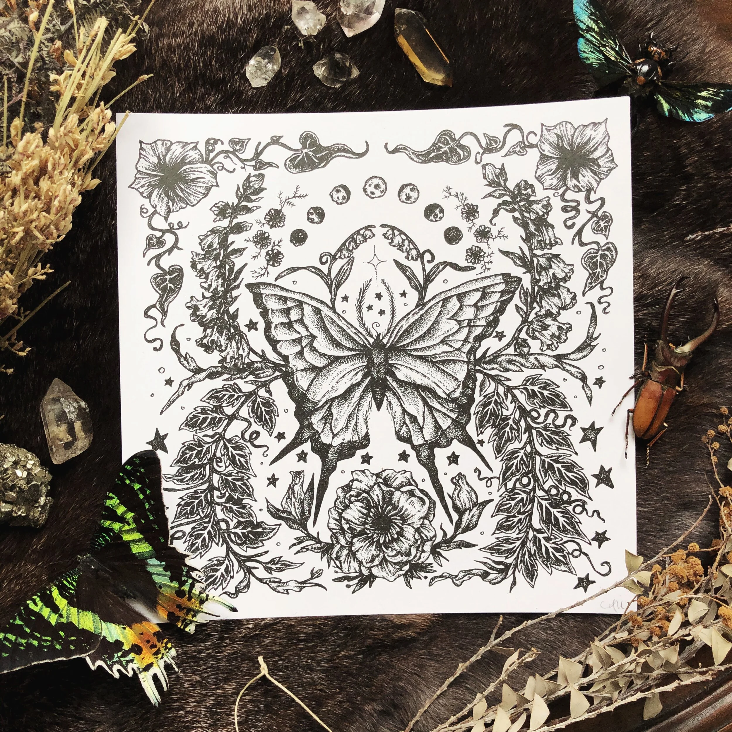 Butterfly &amp; Poison Garden—Art Print 