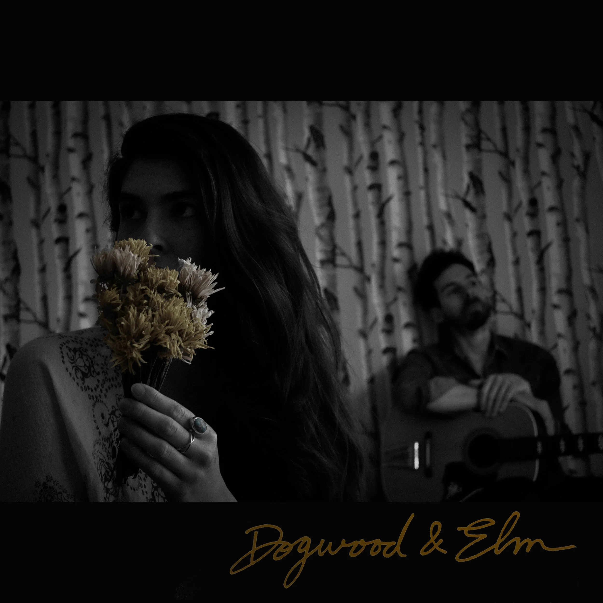 New Artist Alert: Dogwood &amp; Elm
