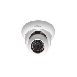 Indoor/Outdoor Dome Camera