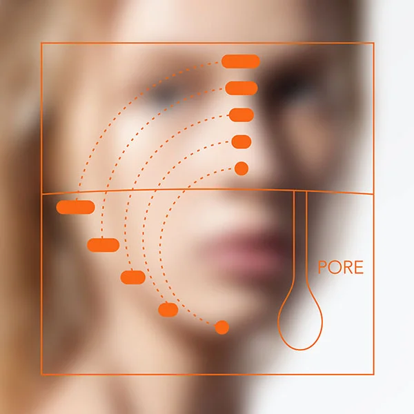 KNY_DIAGRAM_FACE2_CROP.jpg