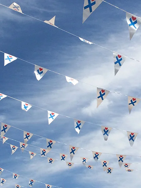 PIP_FLAGS_CROP.jpg