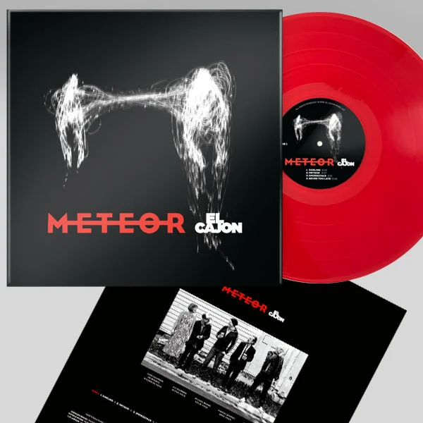 EC_VINYL.jpg