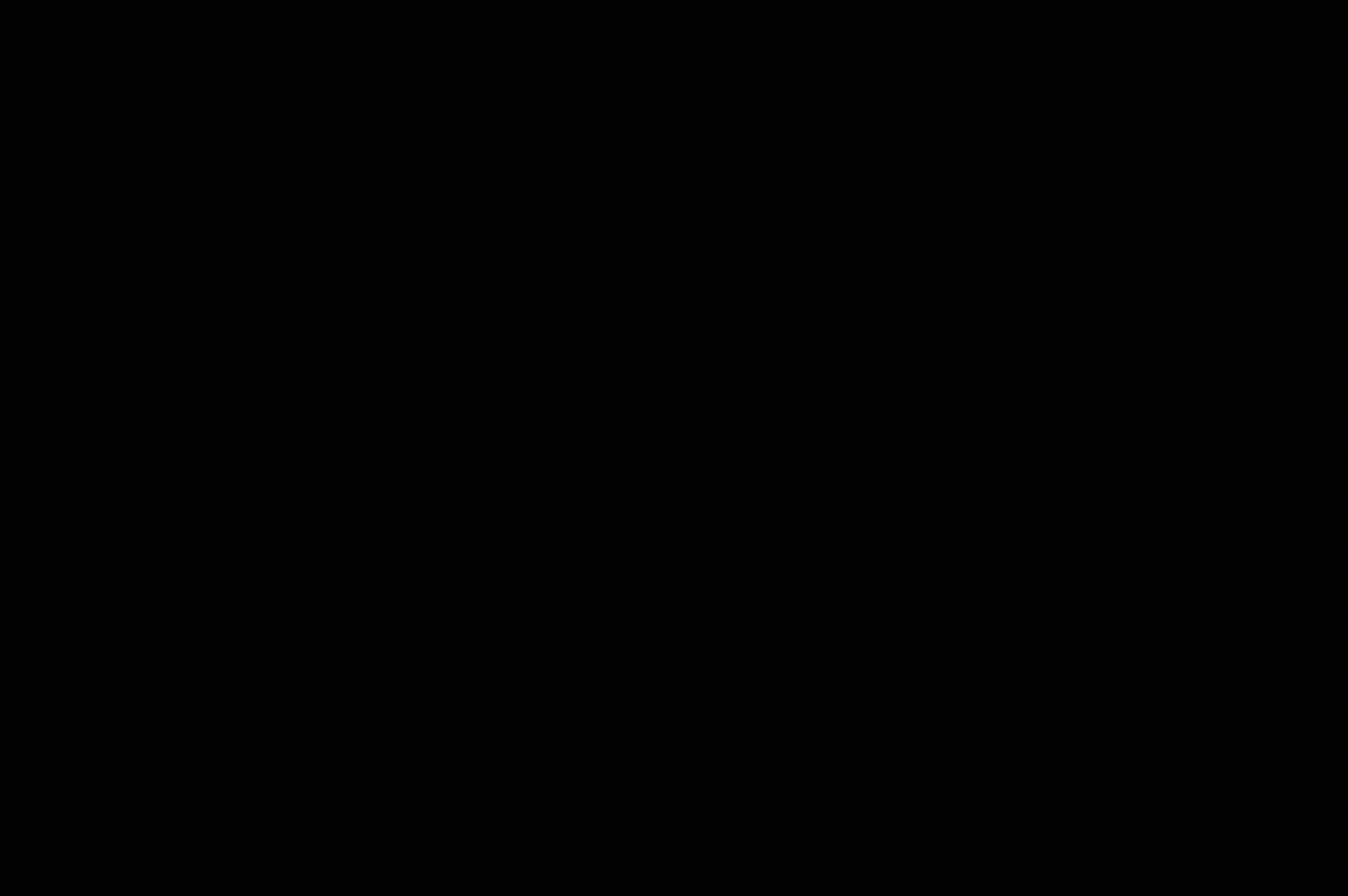 New Carousel_2000.gif
