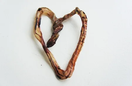 Umbilical Cord heart memento