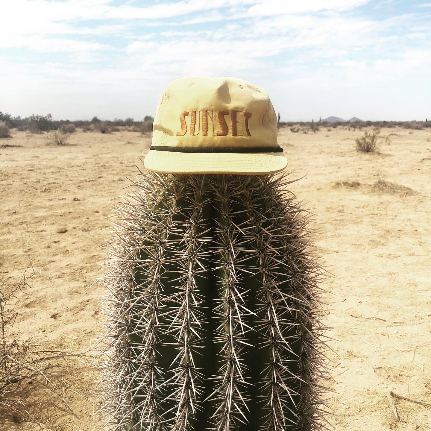 Back in October, a little crew of us went to Arizona for the weekend. Three of five of us had @establishsf &lsquo;Sunset Hats&rsquo; on for most of the weekend so we decided to do a photoshoot in the desert. @establishsf is owned by my good friend Er