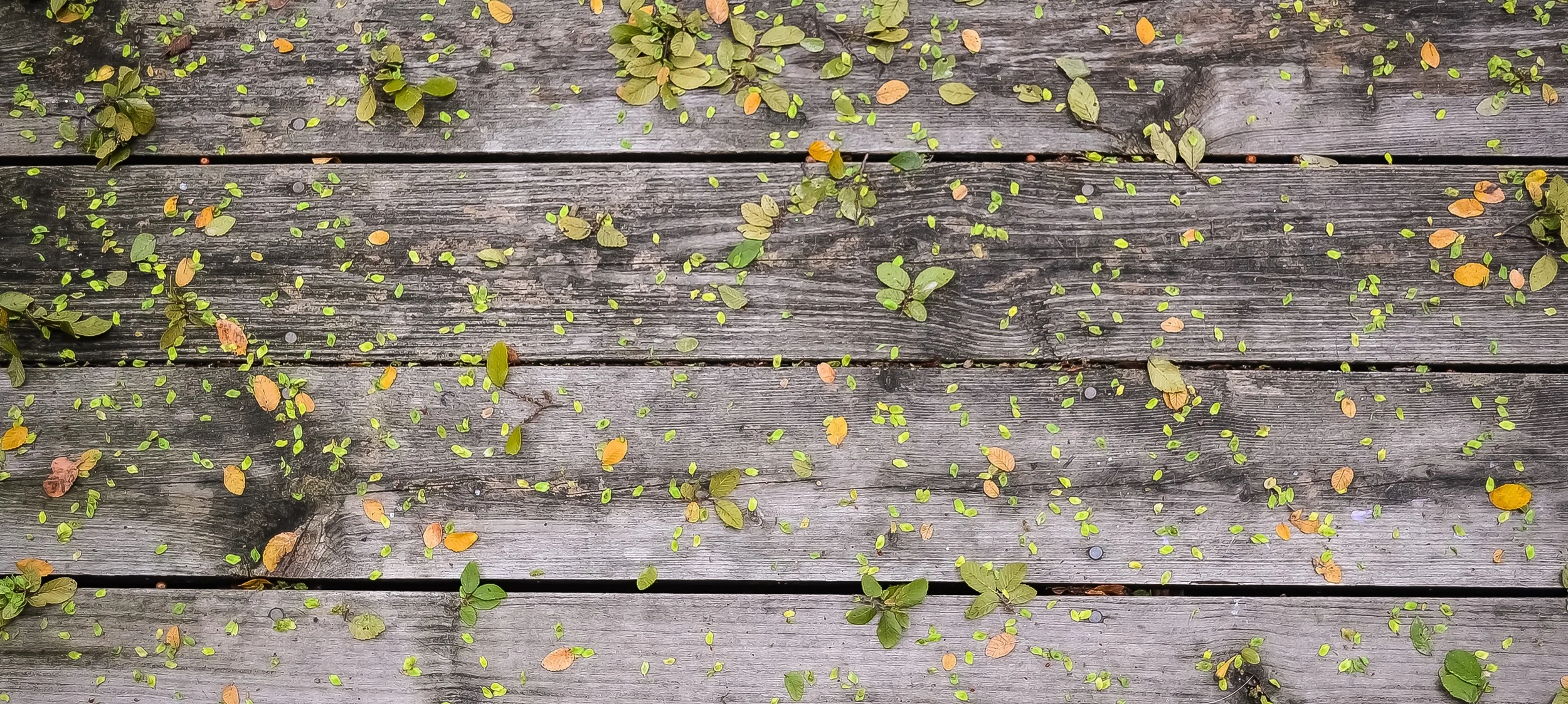 2 Mistakes To Avoid When Using Essential Oils