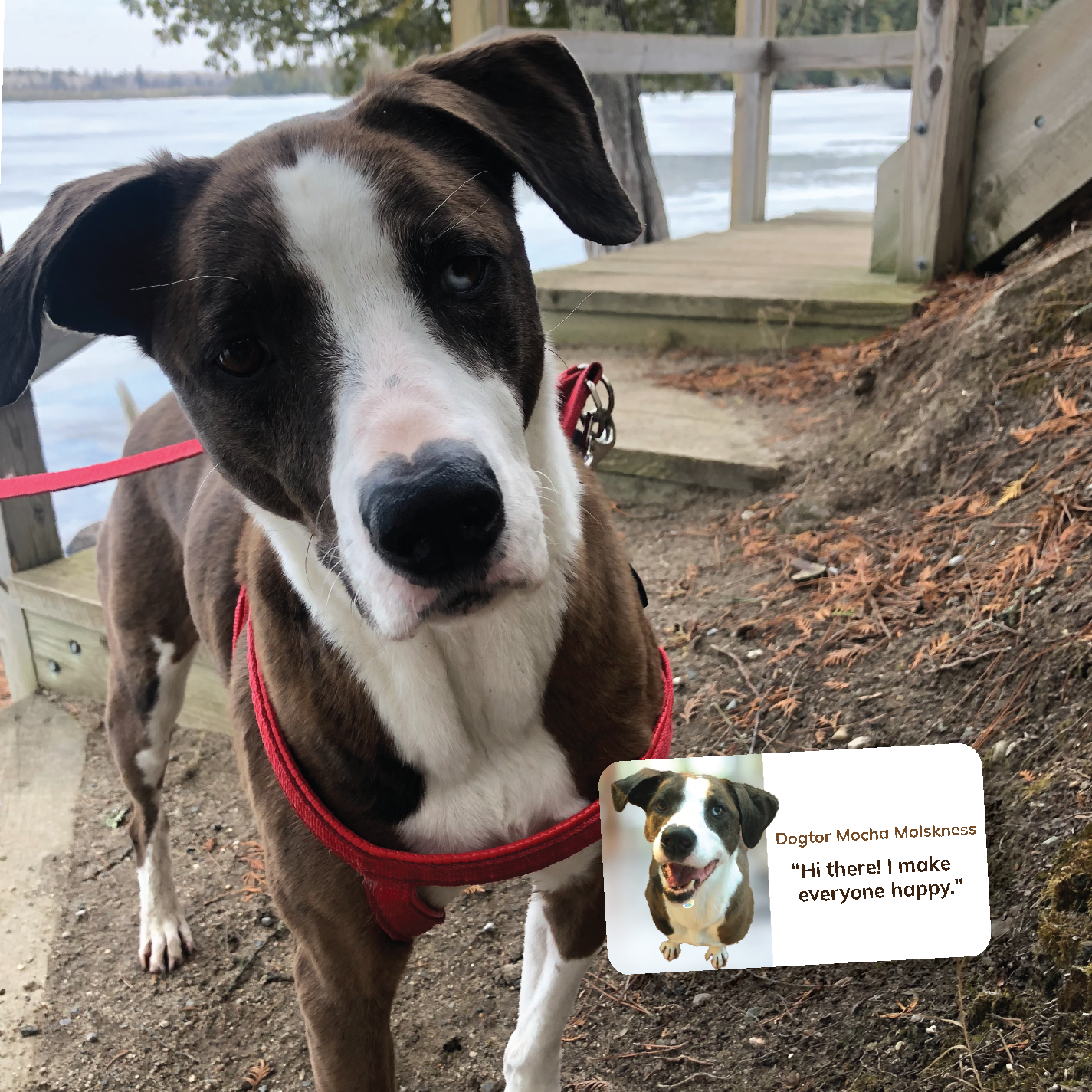 When life gets ruff—there's always hope! 