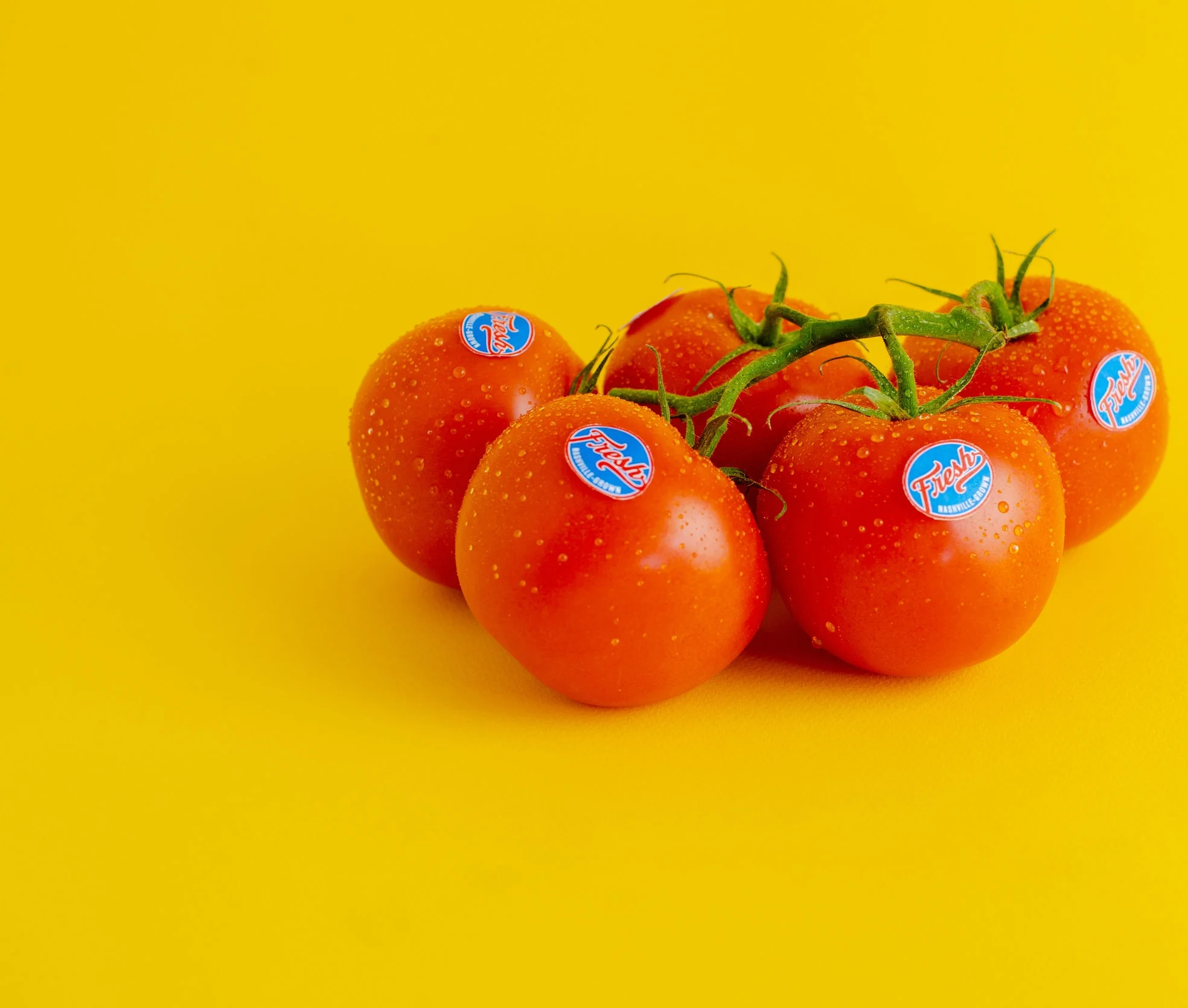 2018-04-12 Fresh Branding site-5269.jpg