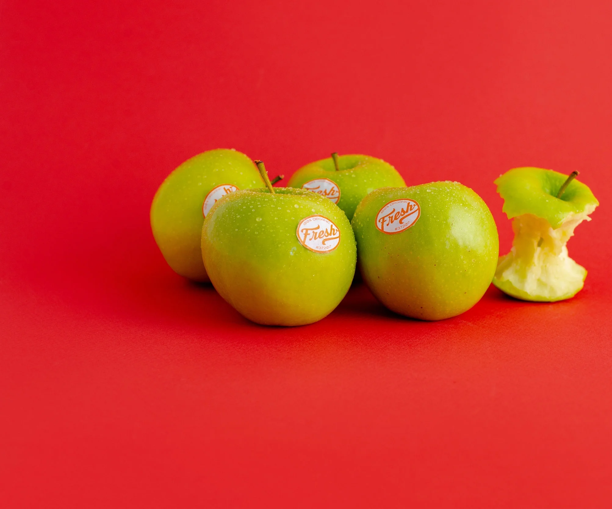 2018-04-12 Fresh Branding site-5316.jpg