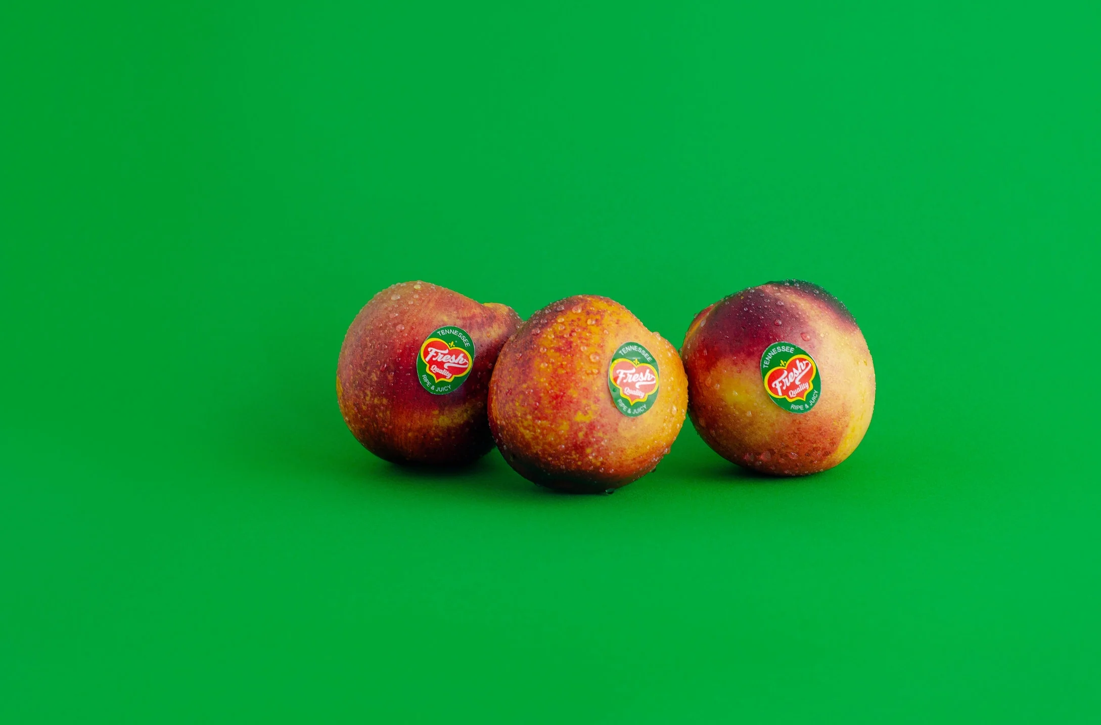 2018-04-12 Fresh Branding site-5328.jpg