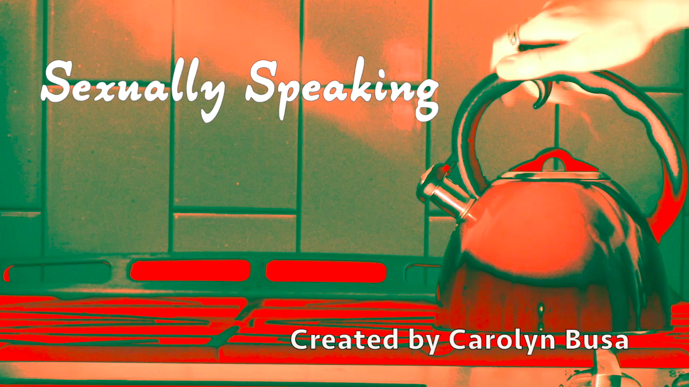 Sexually Speaking is a fast-paced humorous celebration about the process women (mainly Carolyn) go through in discovering their sexuality and confidence. Through sketch, song, home video and interviews, these poignant moments of sexual exploration are explored in a scrapbook quality of storytelling. 