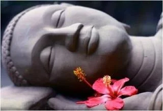 Rest Deeply Sunday Restorative Practice