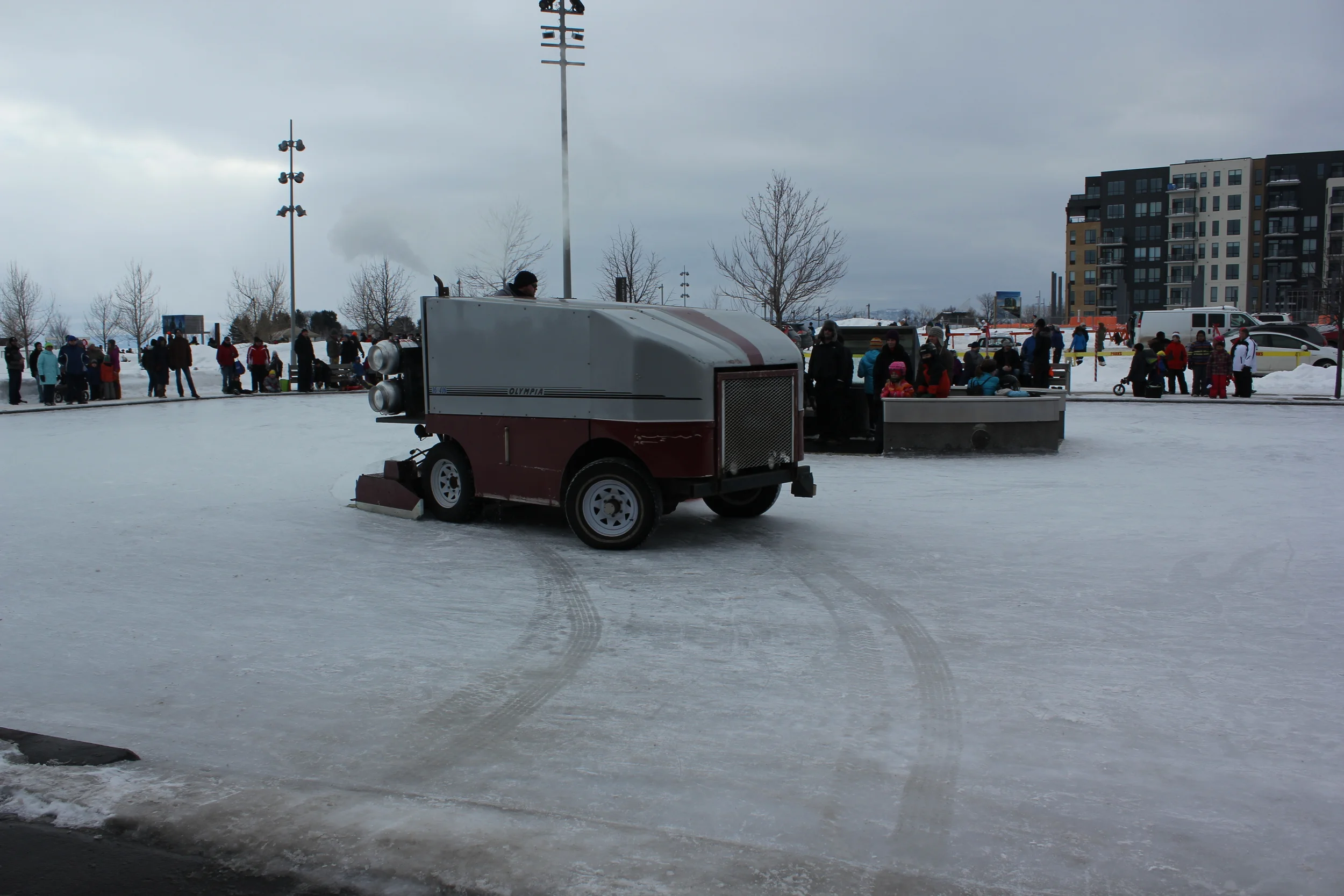 IMG_7894.JPG