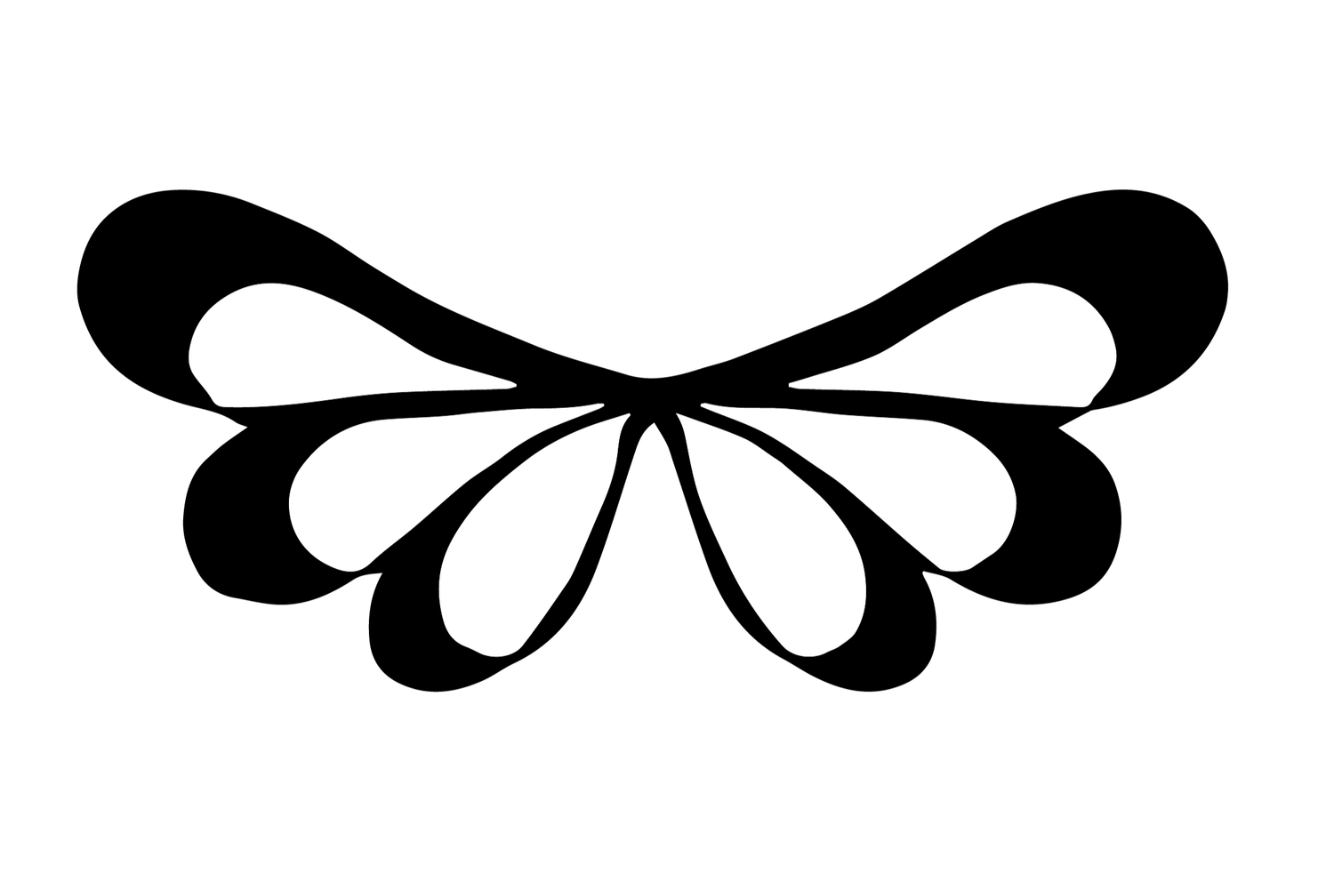 vanessa nicole designs