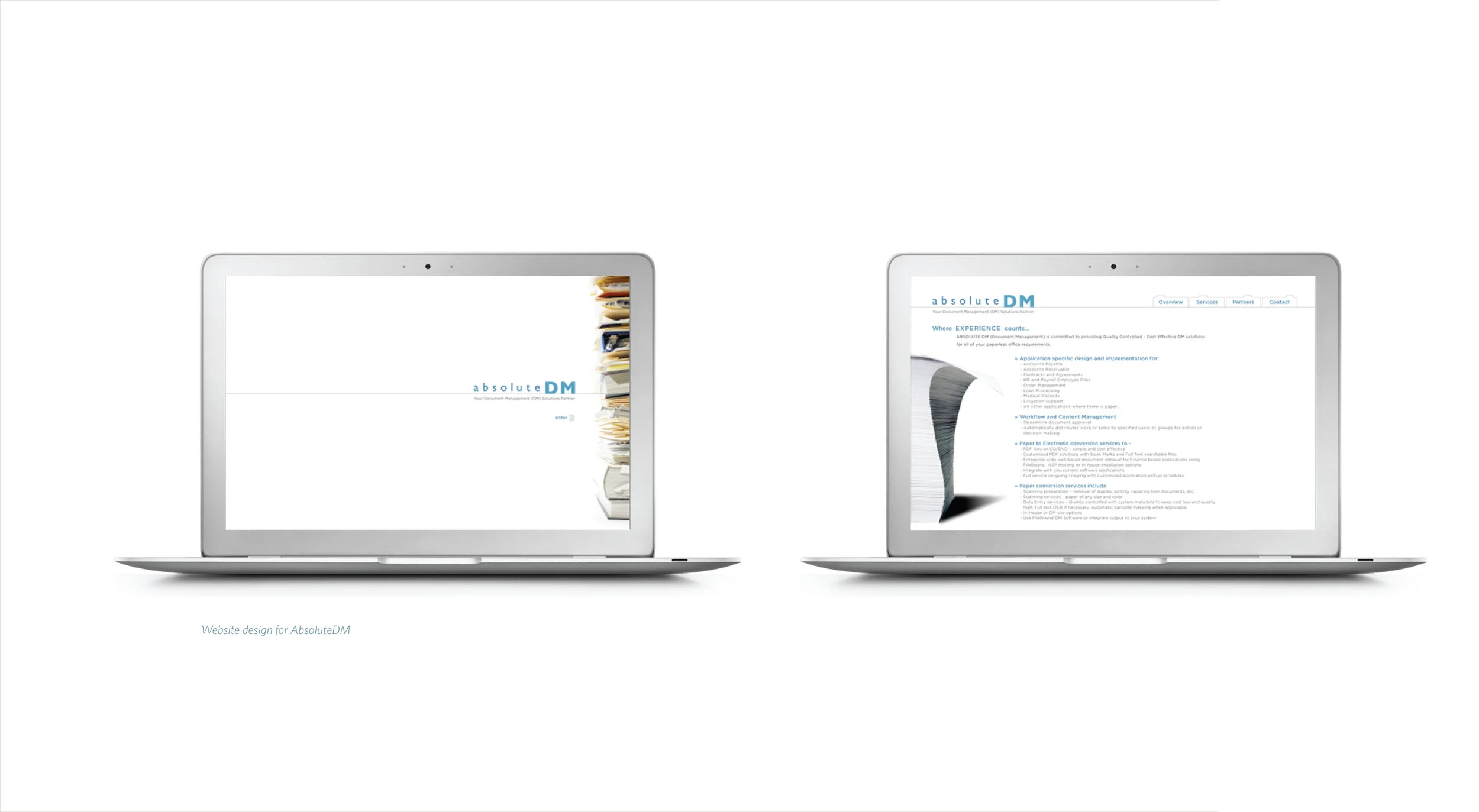 Absolute DM website design
