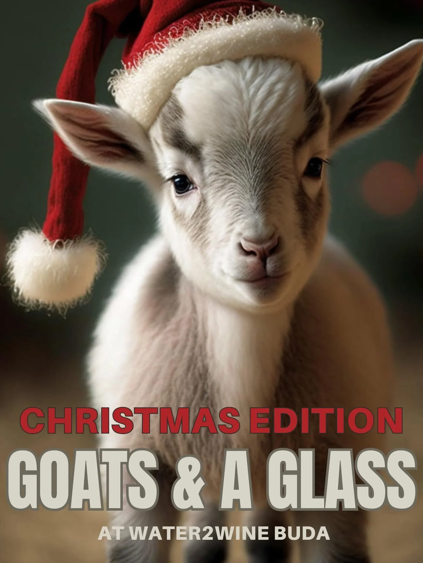 Join WGY and collaborators for TWO special events this Silo Night 🎄

📅 Friday Dec 12th

🐐 Goats &amp; A Glass 🍷
with @water2wine
🕕 4:30-5:30pm&nbsp;

🐐GOAT YOGA - the perfect holiday gift&nbsp;
What to expect:
🙌 The cutest baby goats ever, all