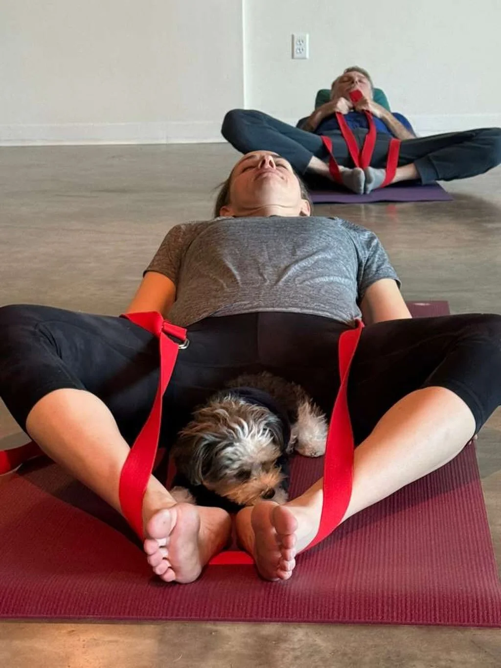 No caption necessary 🐶

@yelobotanicals