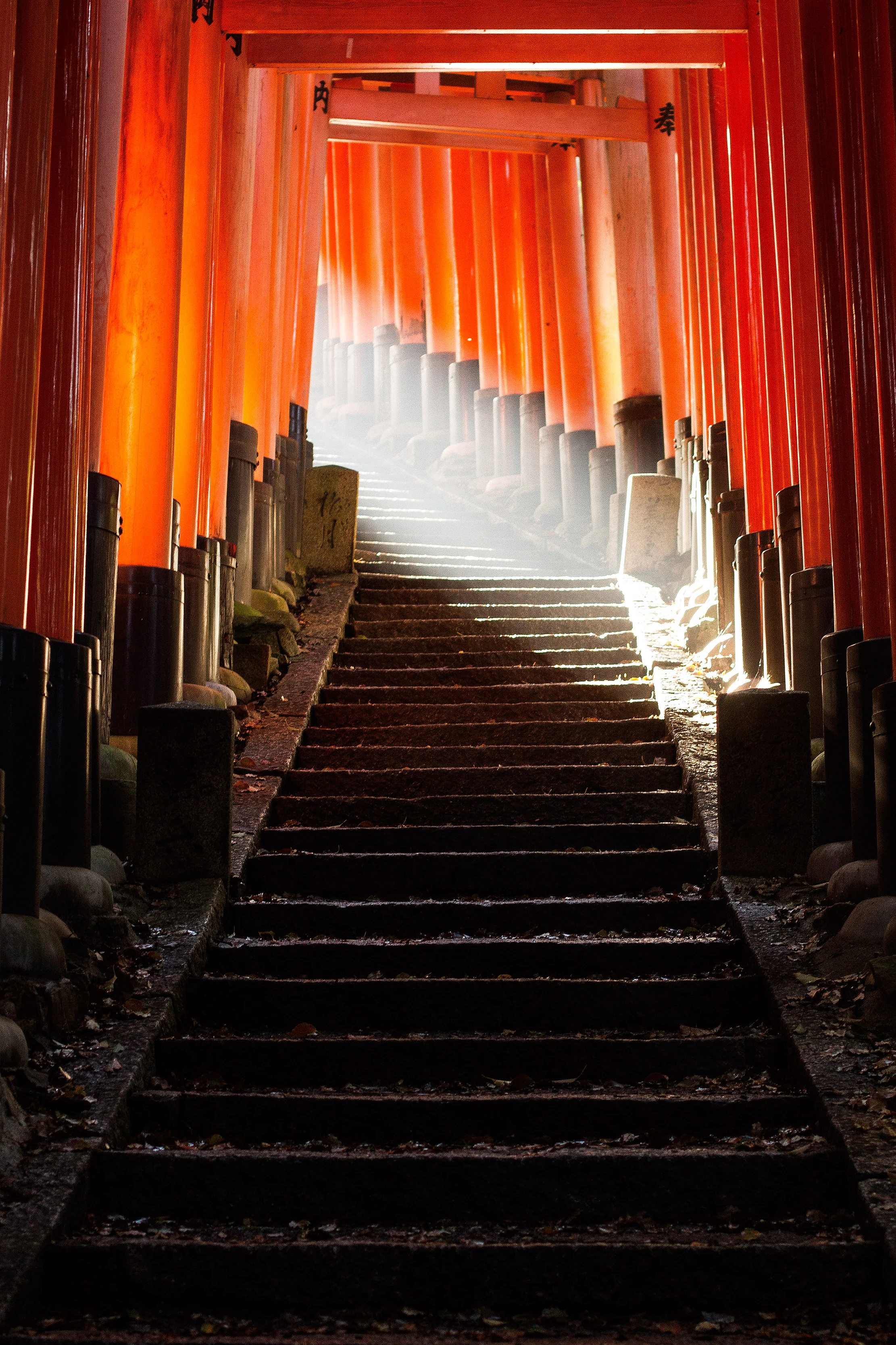Kyoto, Japan 2015! (2/3)