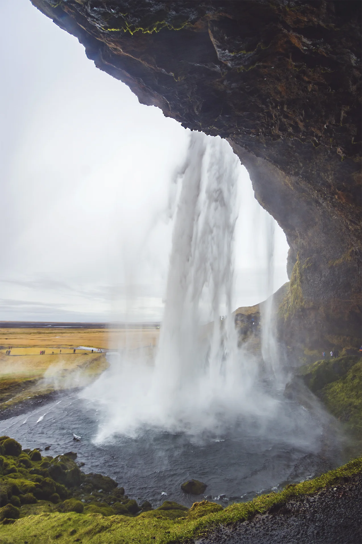 DSC00290 as Smart Object-1.jpg