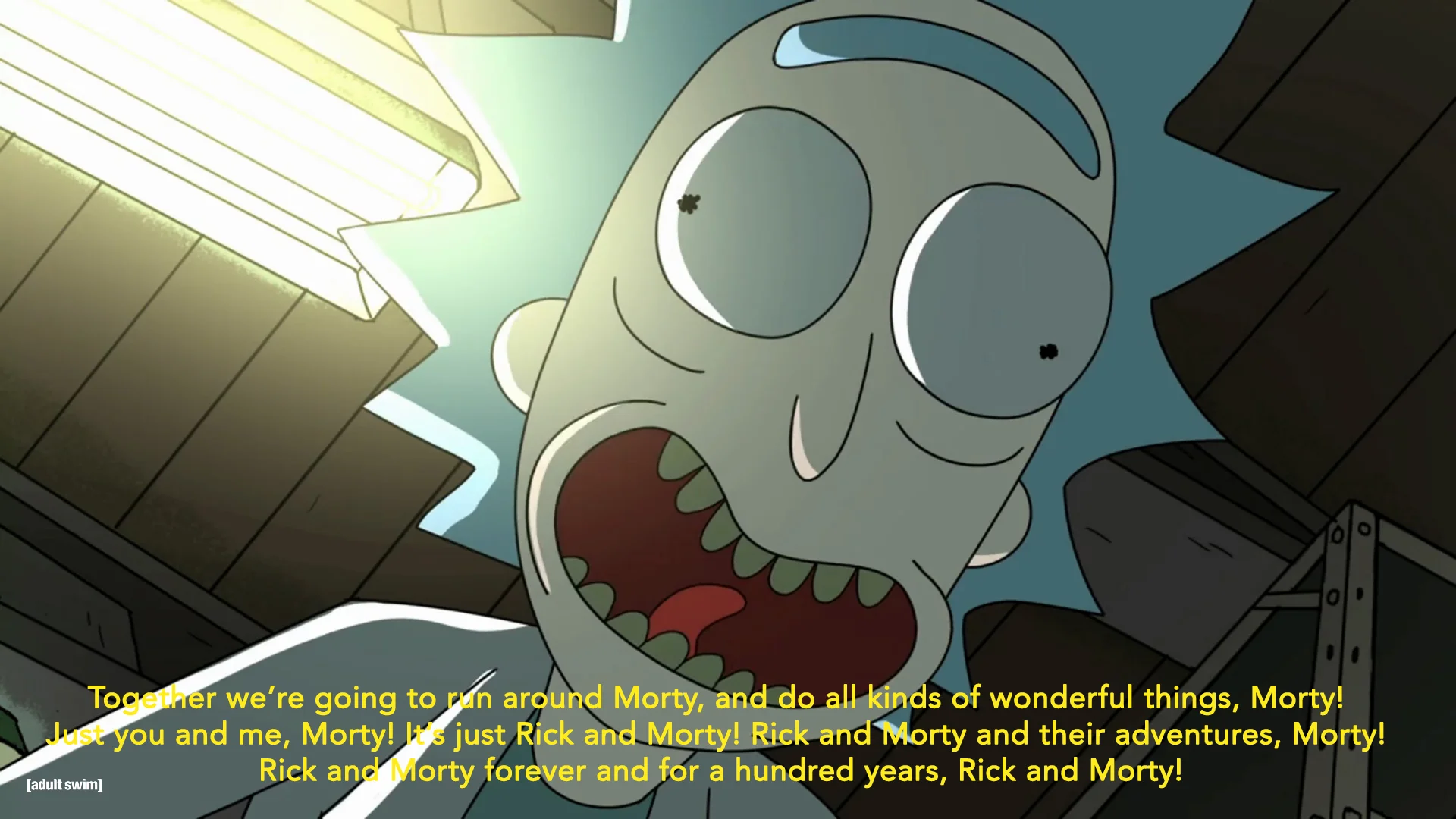 The Mad Genius of Adult Swim's Rick and Morty