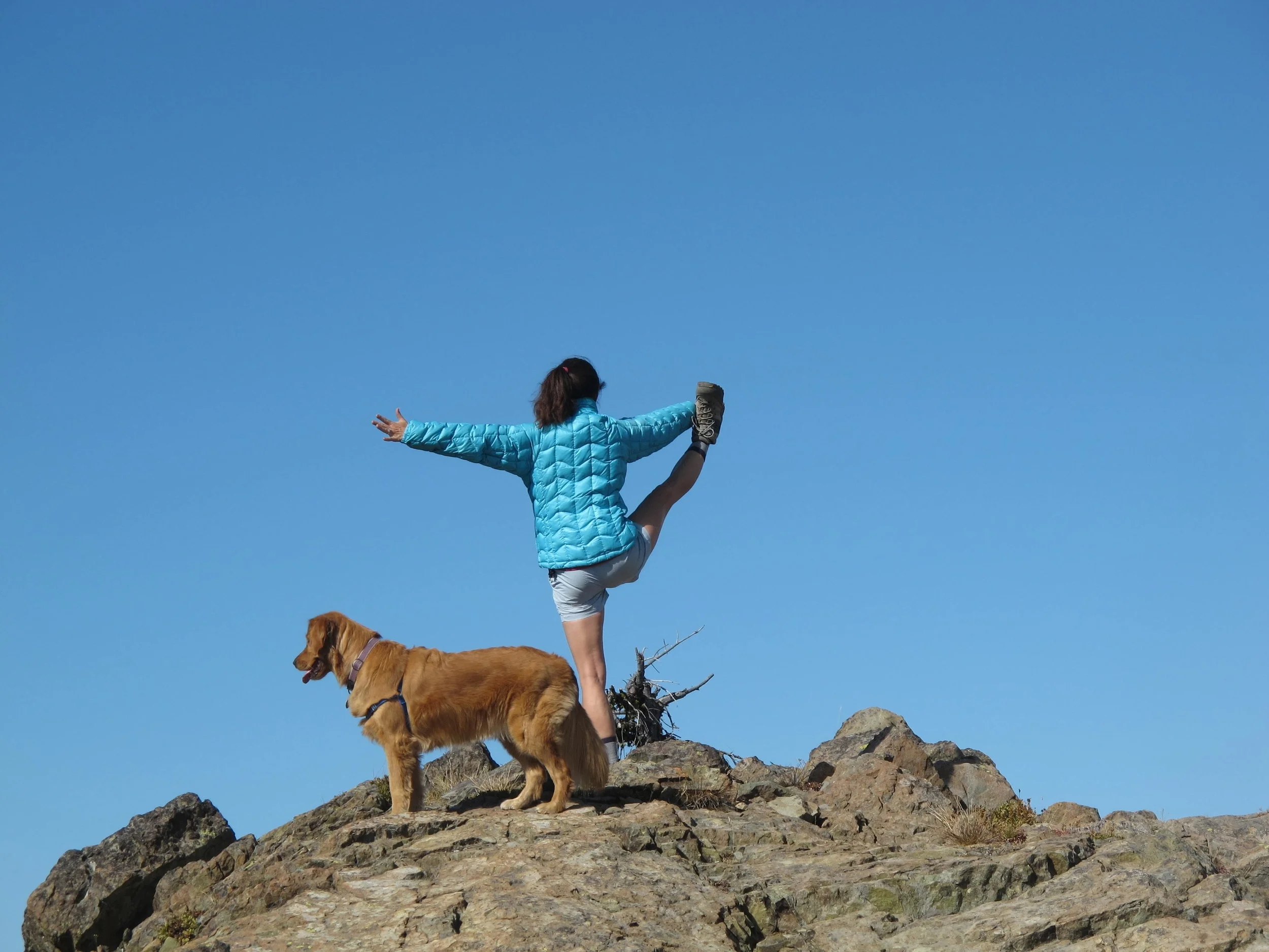 Rebecca.Extended Tree copy.JPG