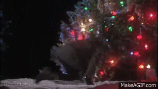 XjGvr_.gif