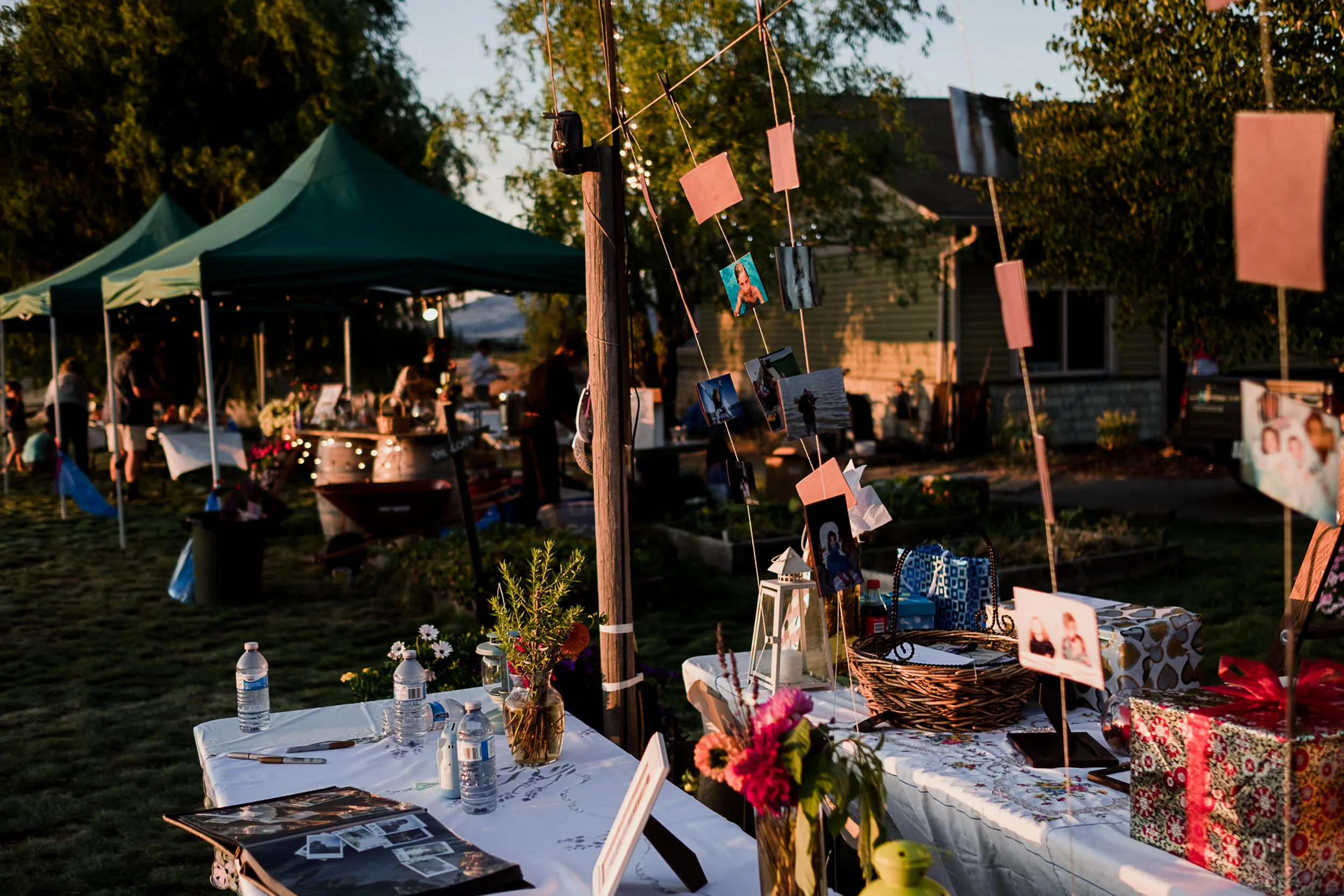 Okanagan orchard wedding