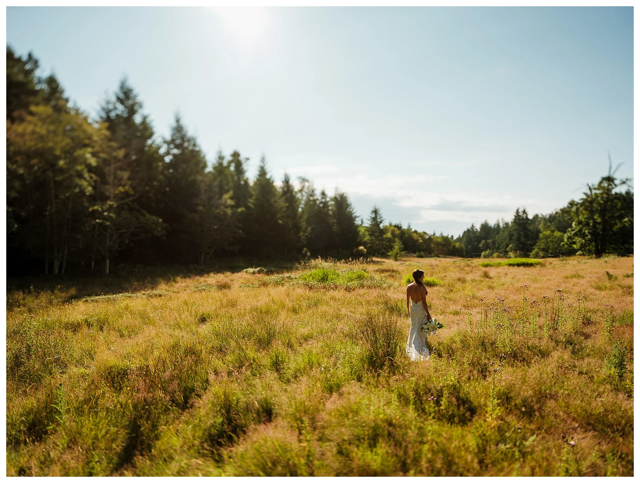 Bodega Ridge wedding venue