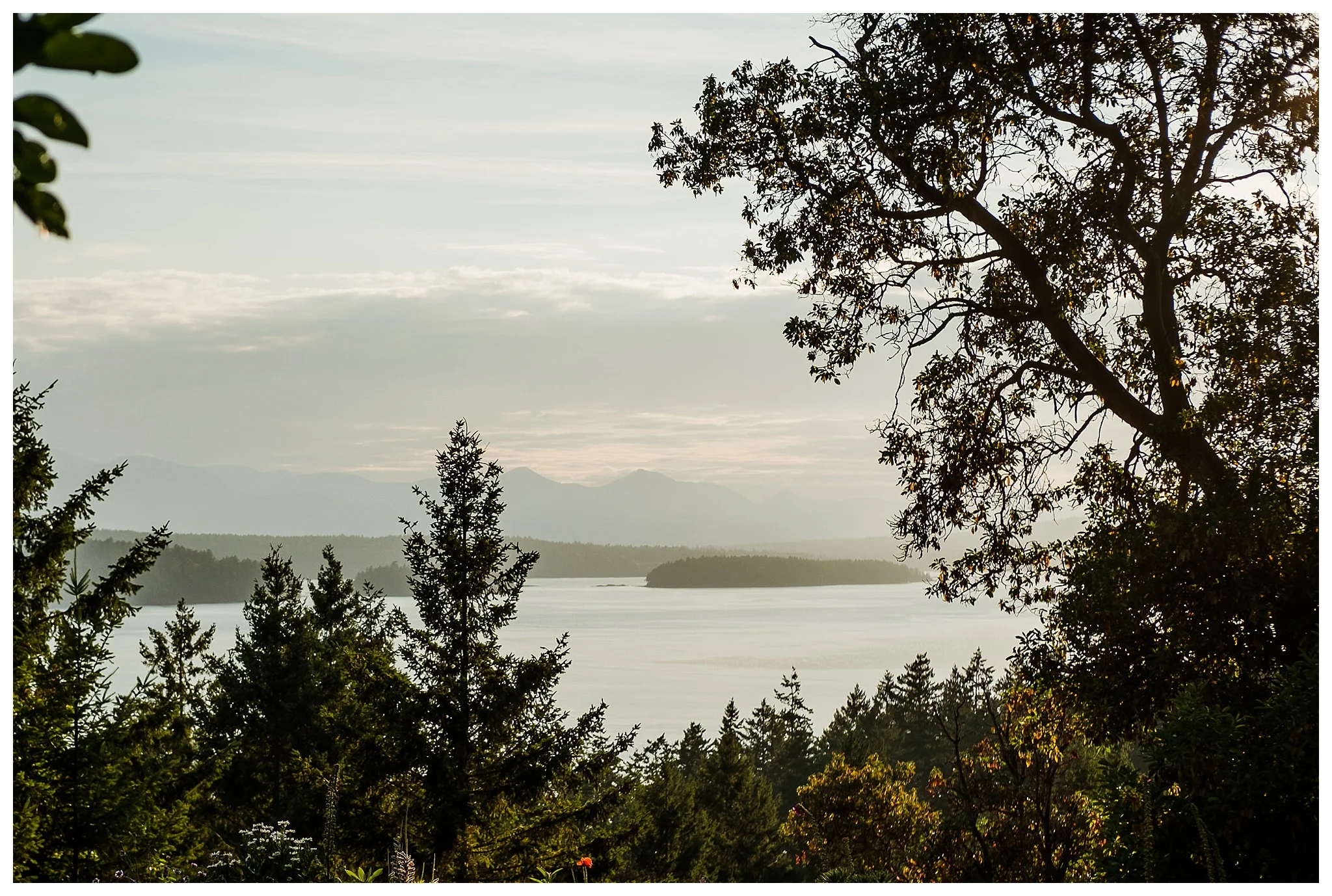 Bodega Ridge wedding venue