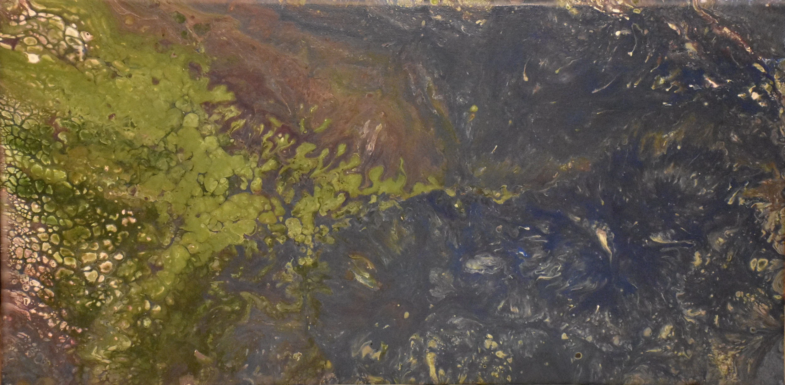 Lichen to Darken