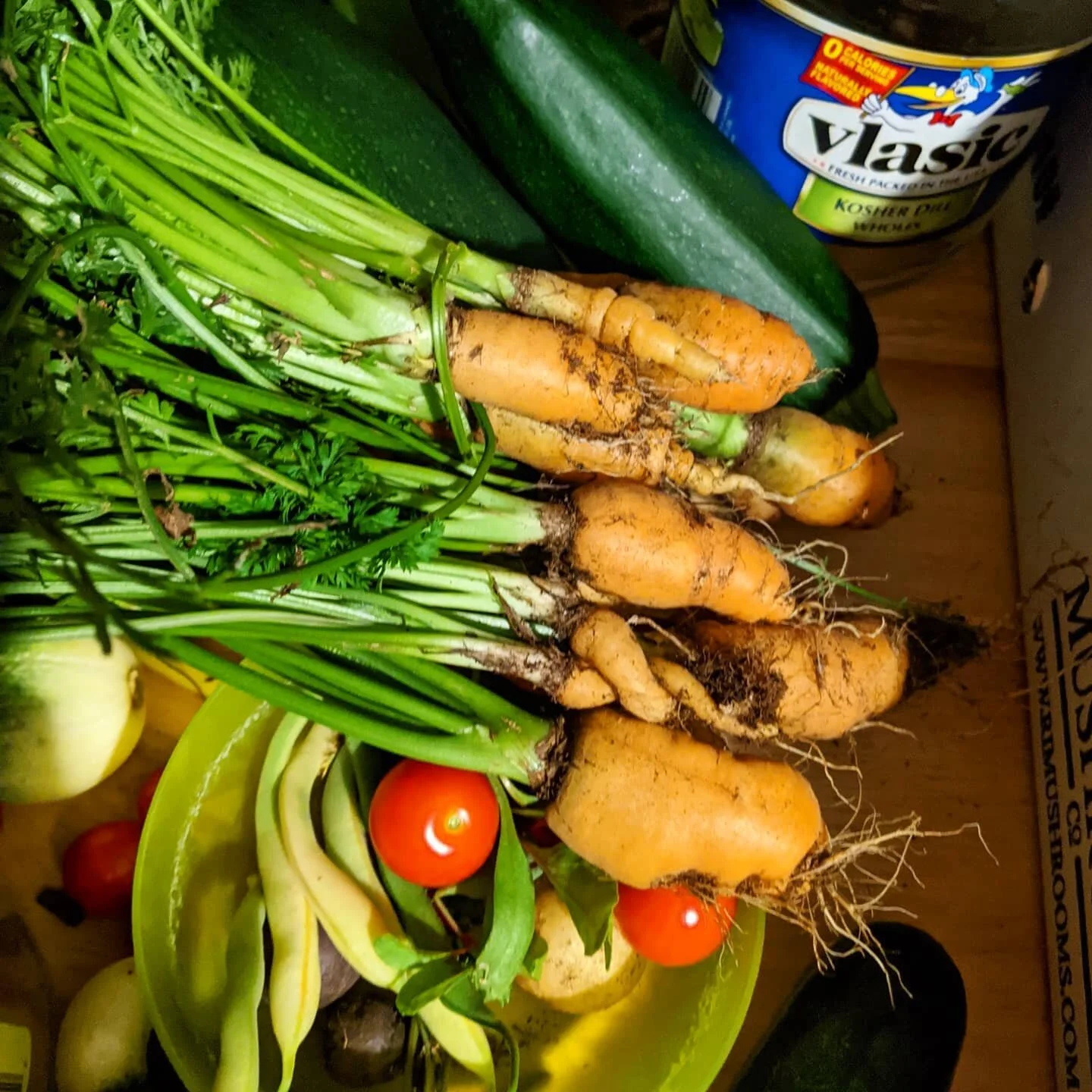 Harvest for today and garden veggies for dinner. We finally pulled out our carrots to replant for our fall garden. Our carrots had a rough go of it, but we kept them in to see what became of them. 
.
.
.
#harvest #garden #carrots #zuchinni #tomatoes 
