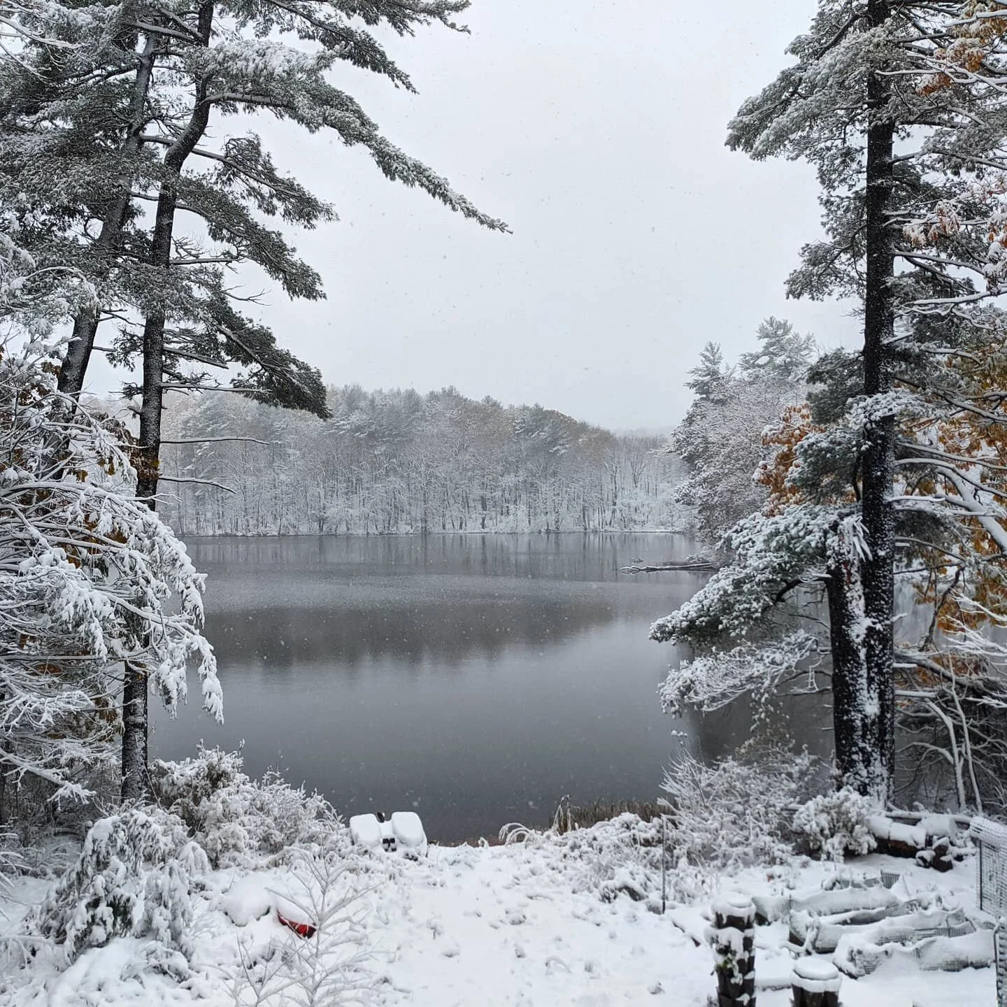 Snow!! I love it.