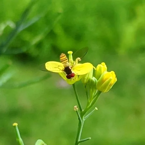 IMG_20210731_014134_441 (1).jpg