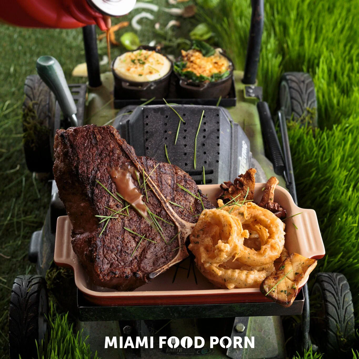 LawnMoo-erWithSauce_preview edited.jpg
