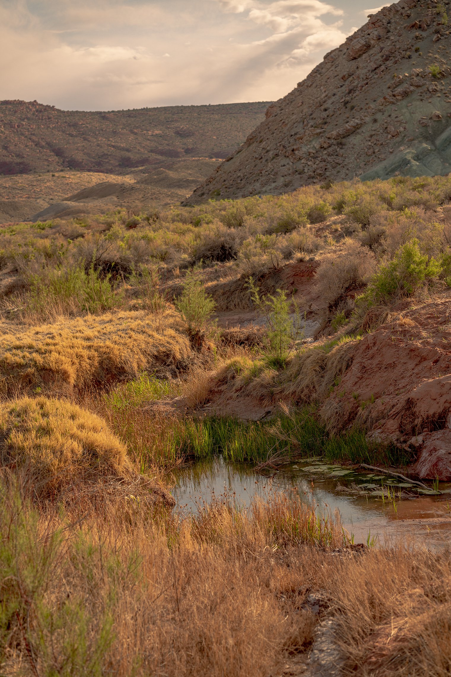 utah_landscape1-1.jpg