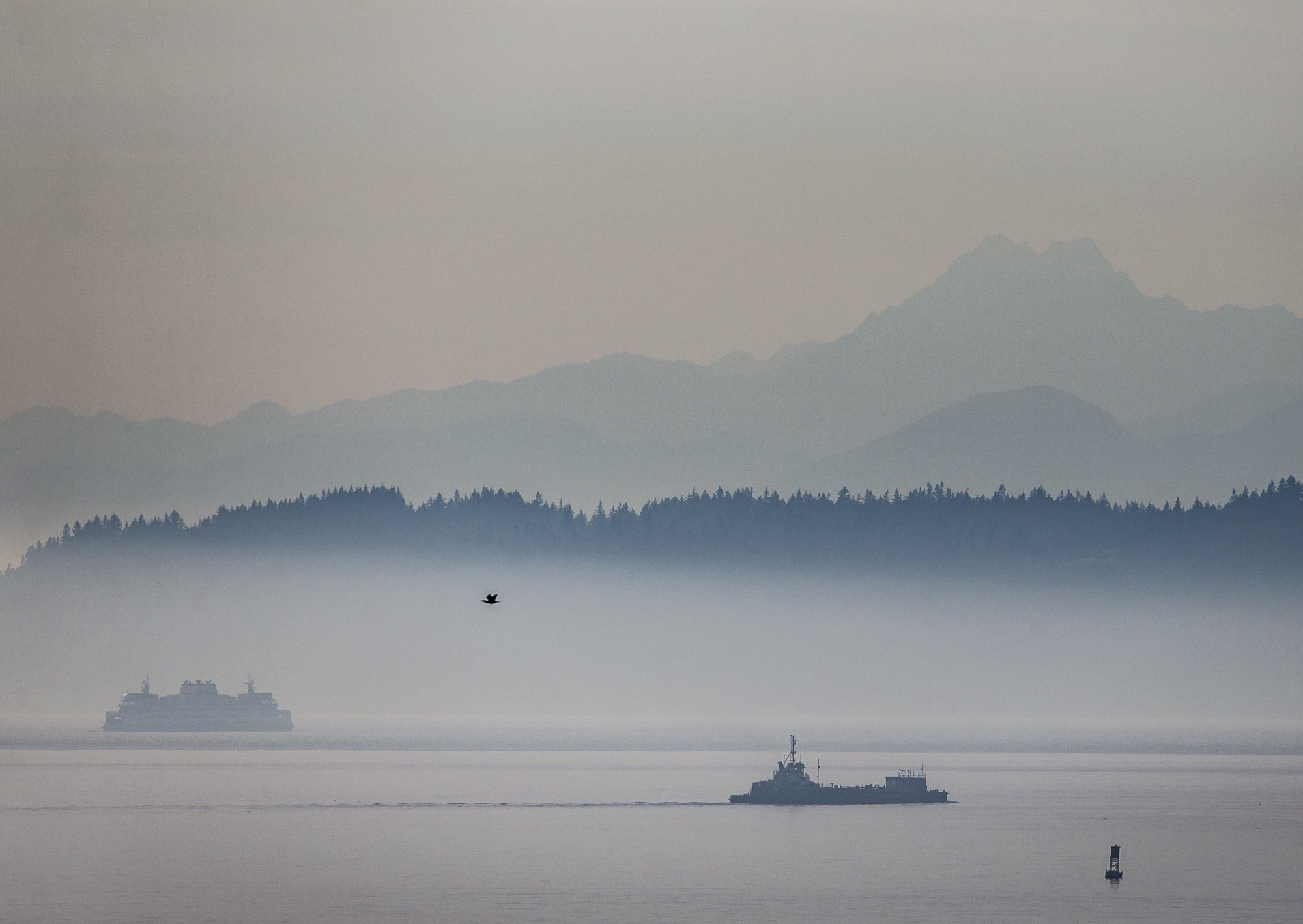  A ferry and a tugboat move through a fog as it begins to settle in over Possession Sound in Everett on Nov. 20, 2018. 