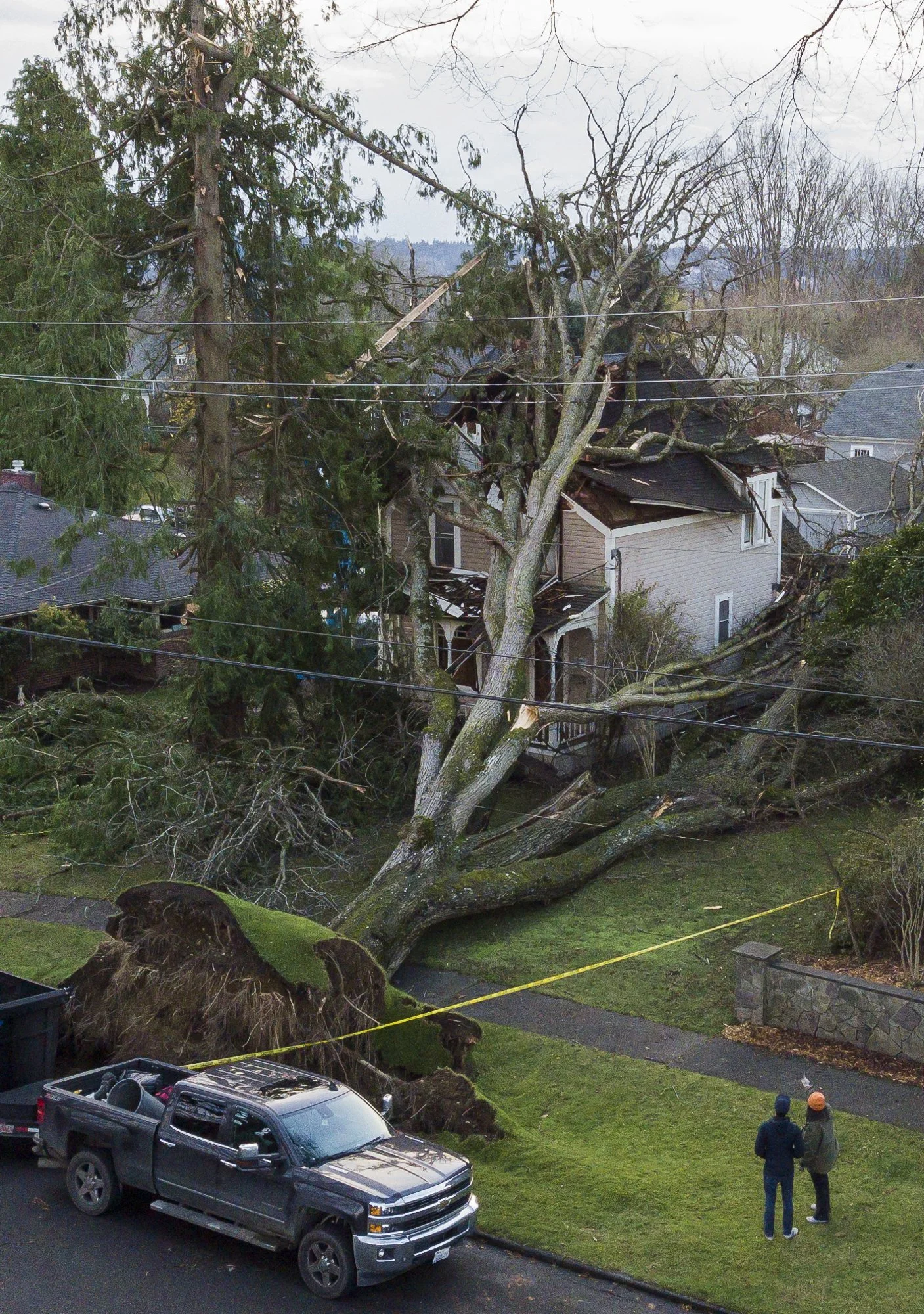  People stop to look at an estimated 120-year-old elm tree that fell into a historic home in Snohomish on Wednesday, Nov. 20, 2024. The towering tree uprooted during the bomb cyclone and collapsed onto the two-story house, built in the 1890s. The own