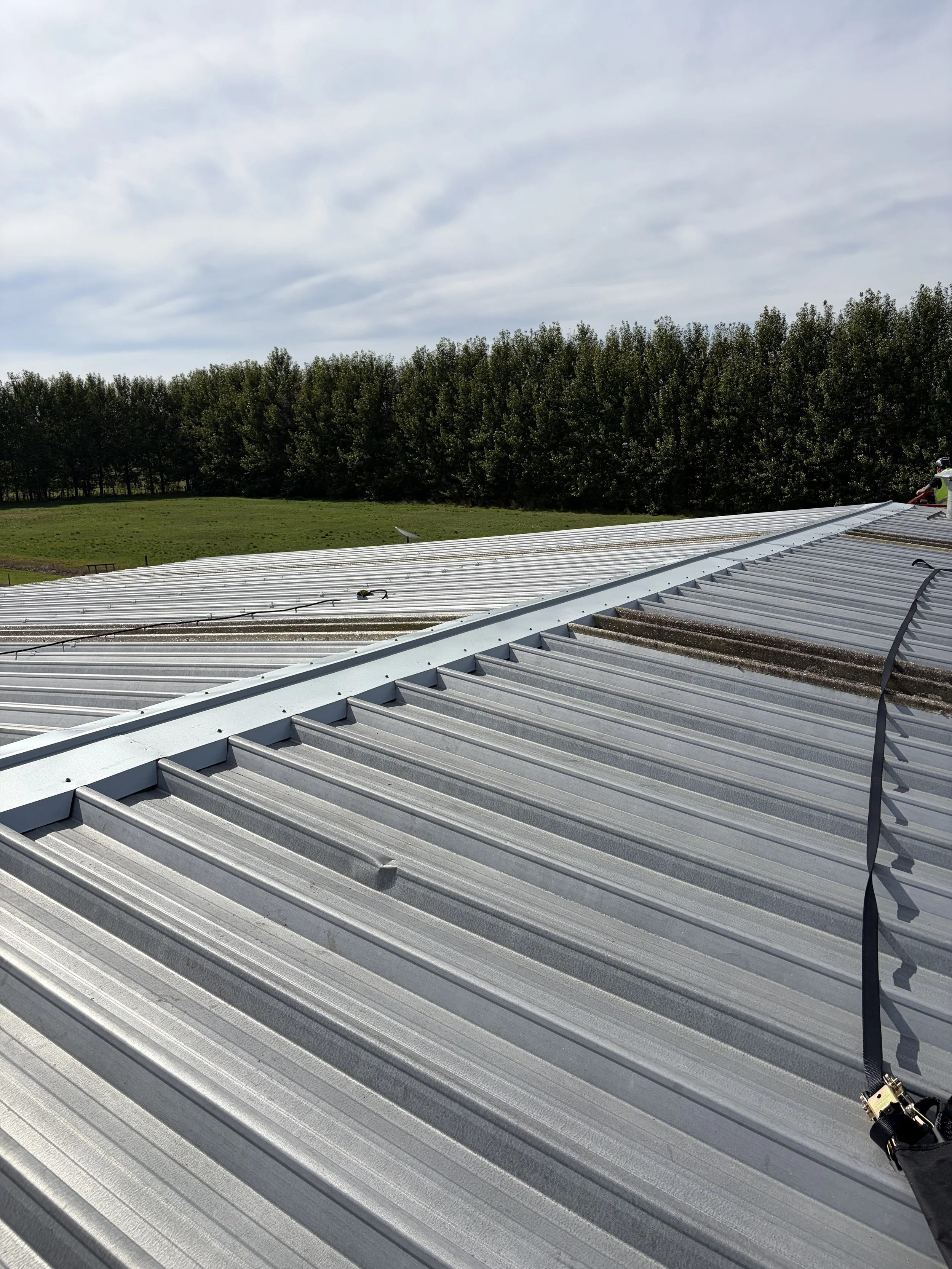 roofing 2.jpeg