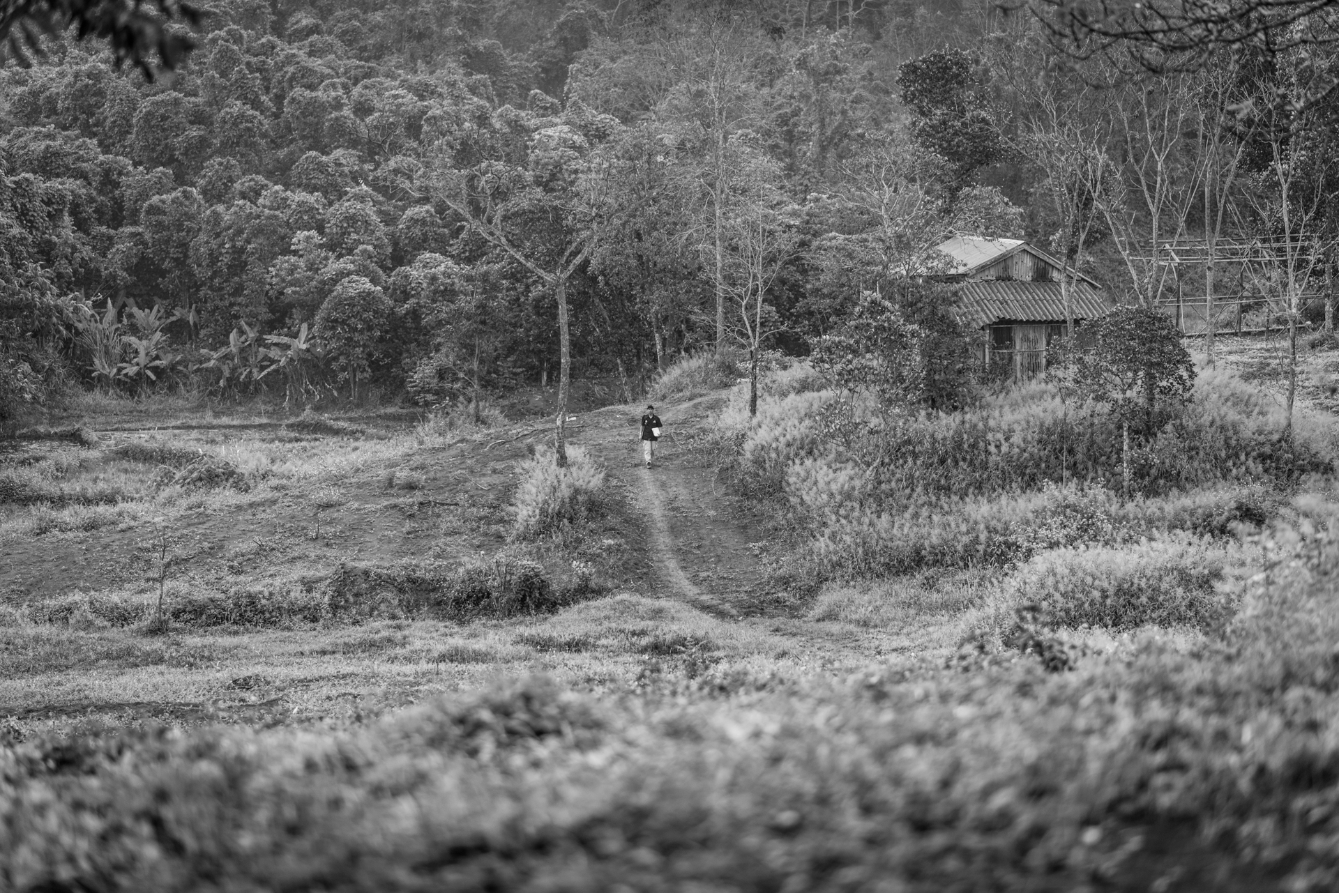 Ron walking away from his father's site. Read below about the palm trees on the left. Photo courtesy Istrico Productions.